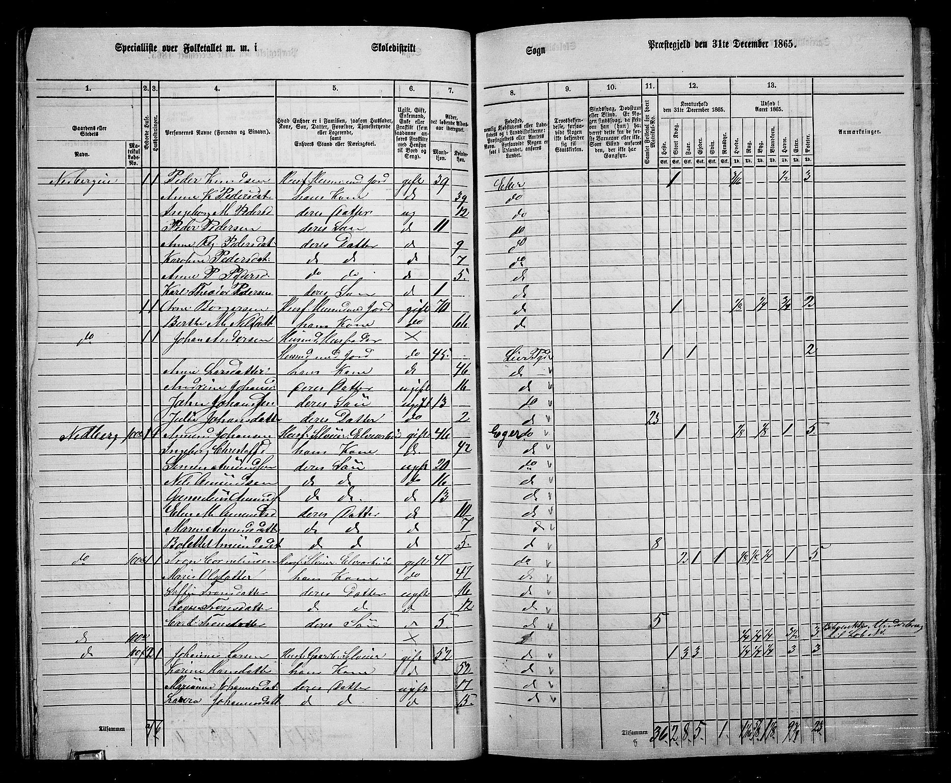 RA, 1865 census for Eiker, 1865, p. 33