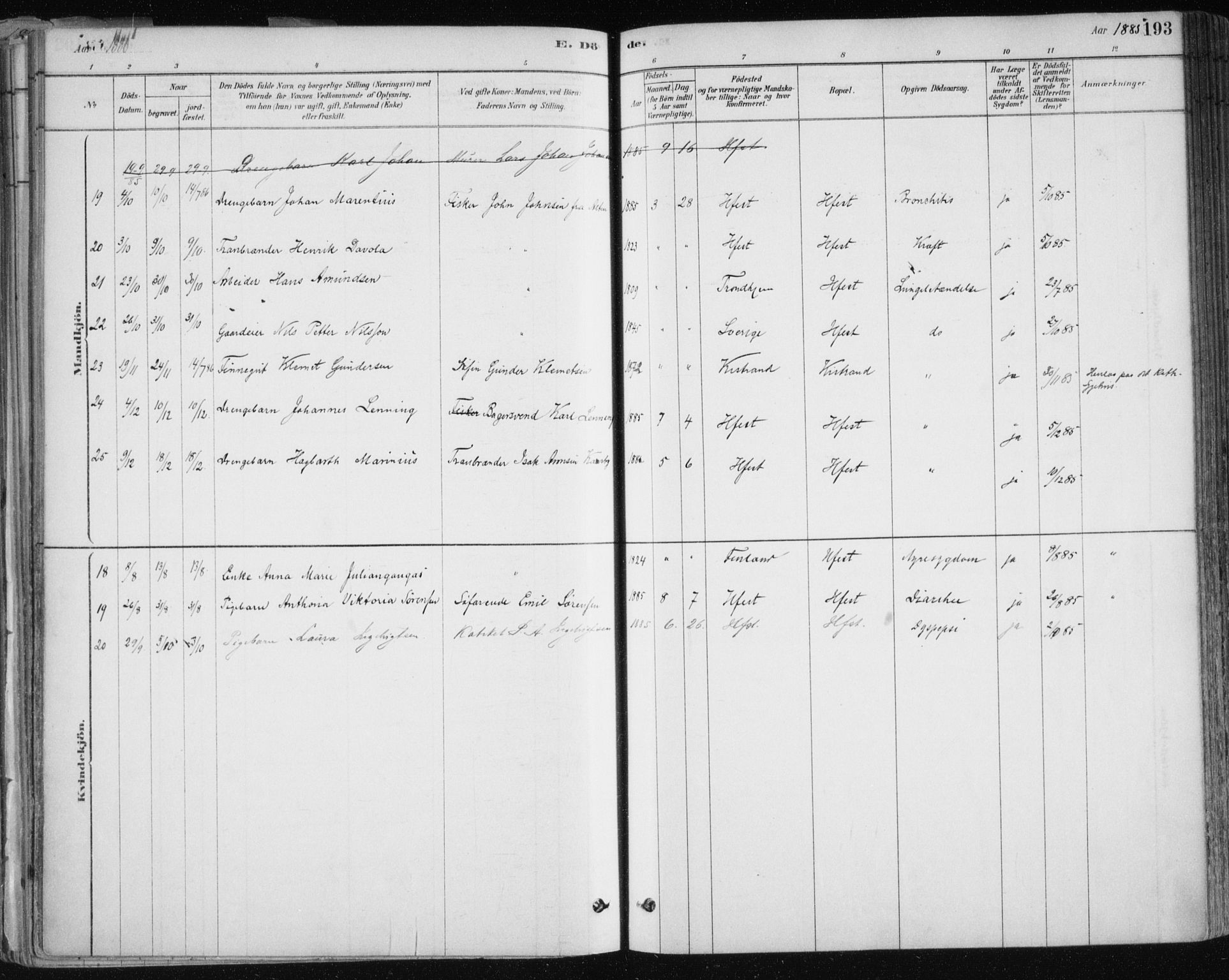 Hammerfest sokneprestkontor, AV/SATØ-S-1347/H/Ha/L0008.kirke: Parish register (official) no. 8, 1878-1889, p. 193