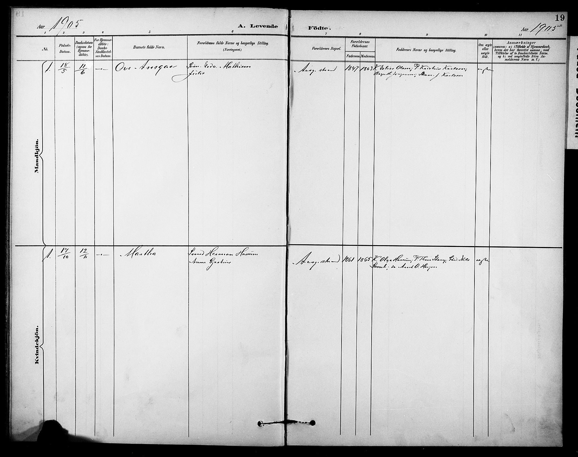 Borre kirkebøker, SAKO/A-338/F/Fb/L0002: Parish register (official) no. II 2, 1893-1905, p. 19