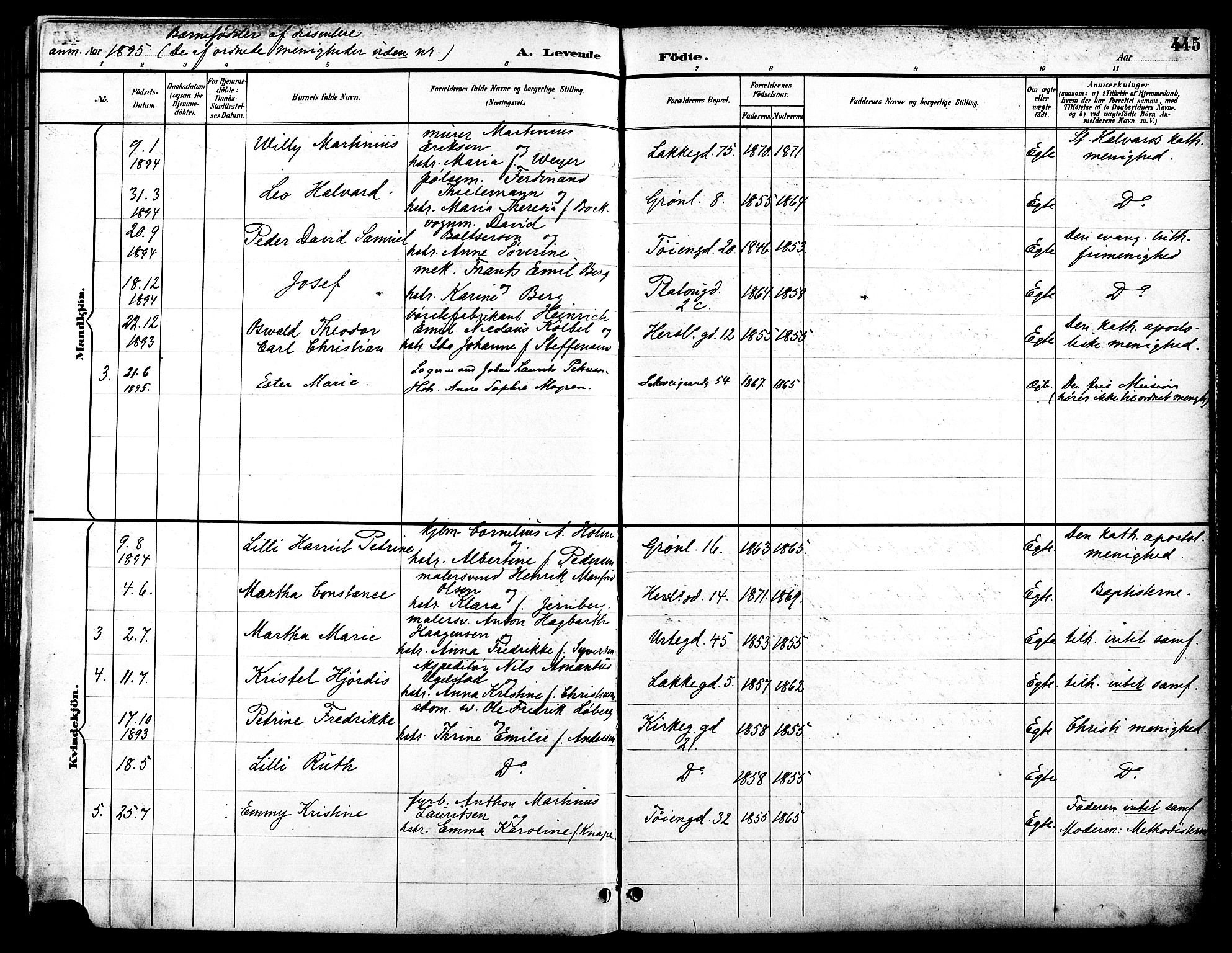 Grønland prestekontor Kirkebøker, AV/SAO-A-10848/F/Fa/L0012: Parish register (official) no. 12, 1893-1900, p. 445