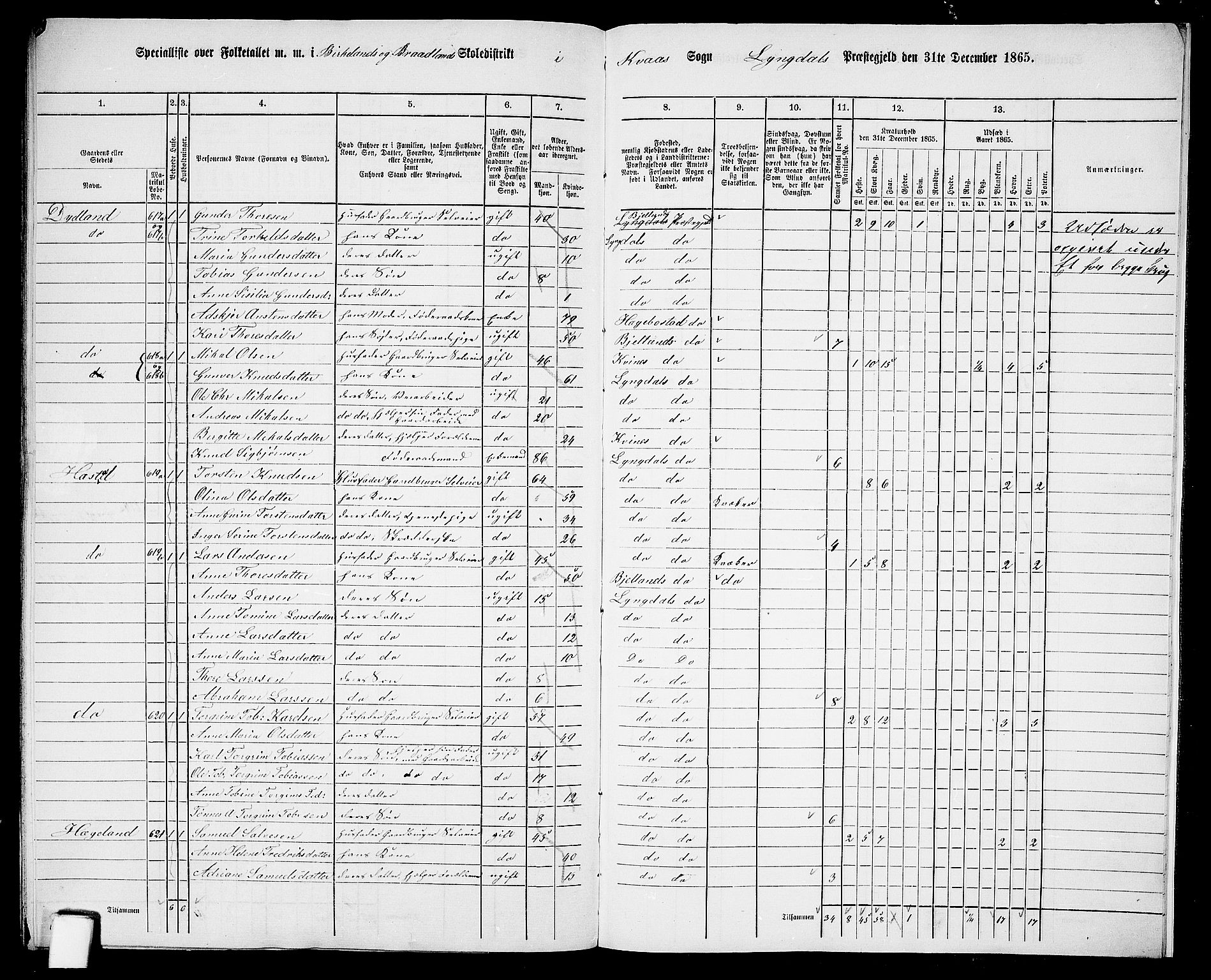 RA, 1865 census for Lyngdal, 1865, p. 249