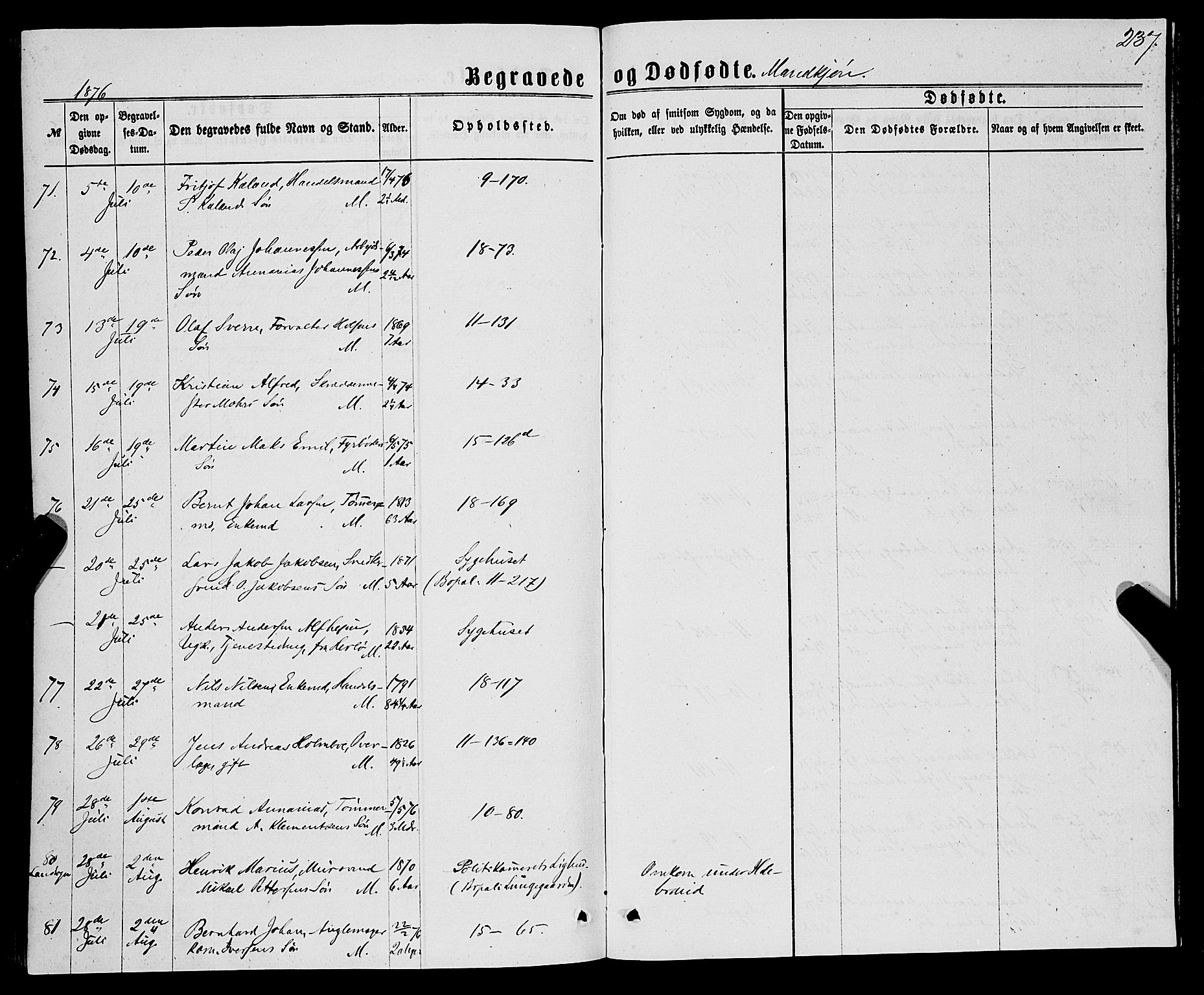 Domkirken sokneprestembete, AV/SAB-A-74801/H/Haa/L0042: Parish register (official) no. E 3, 1863-1876, p. 237