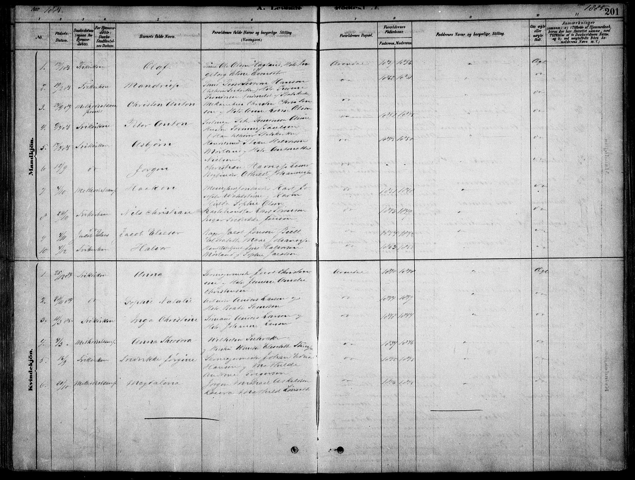 Arendal sokneprestkontor, Trefoldighet, AV/SAK-1111-0040/F/Fa/L0008: Parish register (official) no. A 8, 1878-1899, p. 201