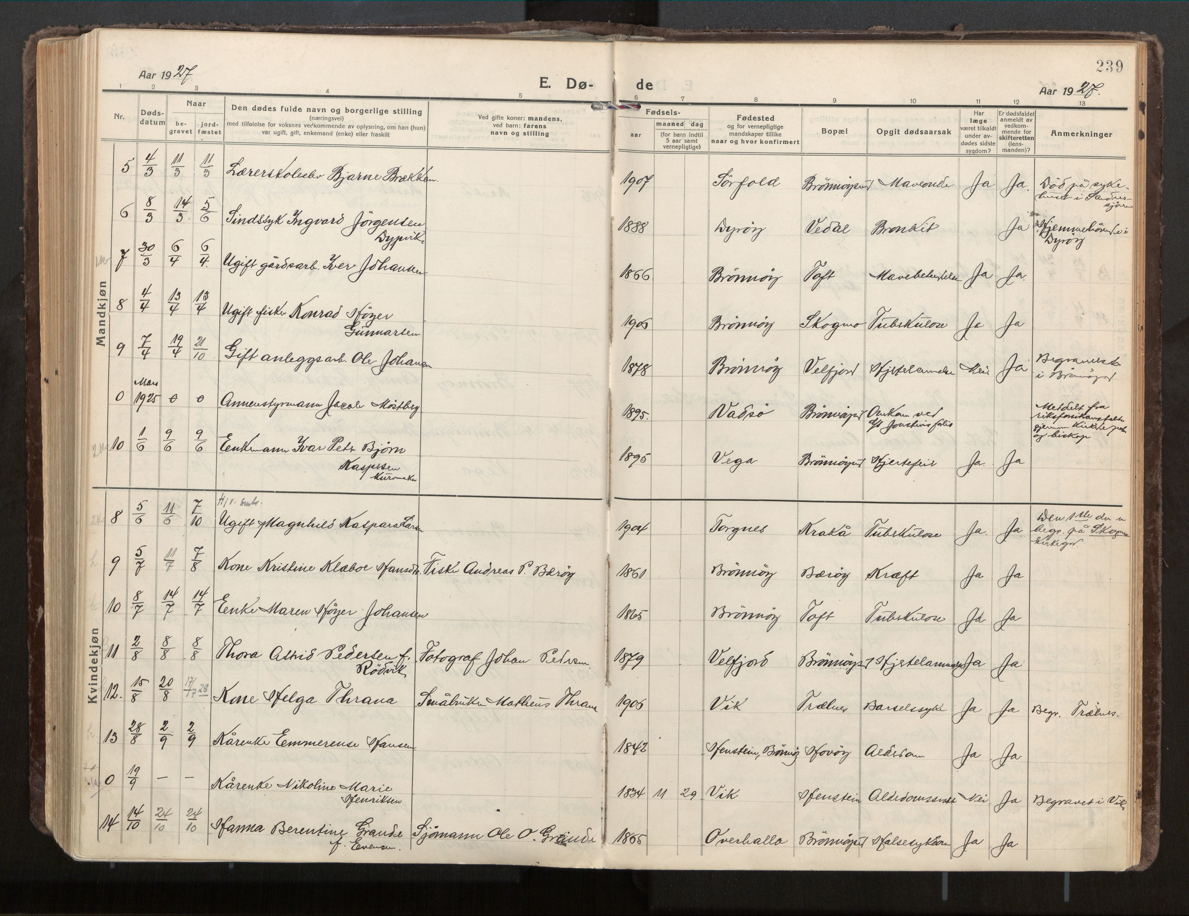 Ministerialprotokoller, klokkerbøker og fødselsregistre - Nordland, AV/SAT-A-1459/813/L0207a: Parish register (official) no. 813A18, 1919-1927, p. 239