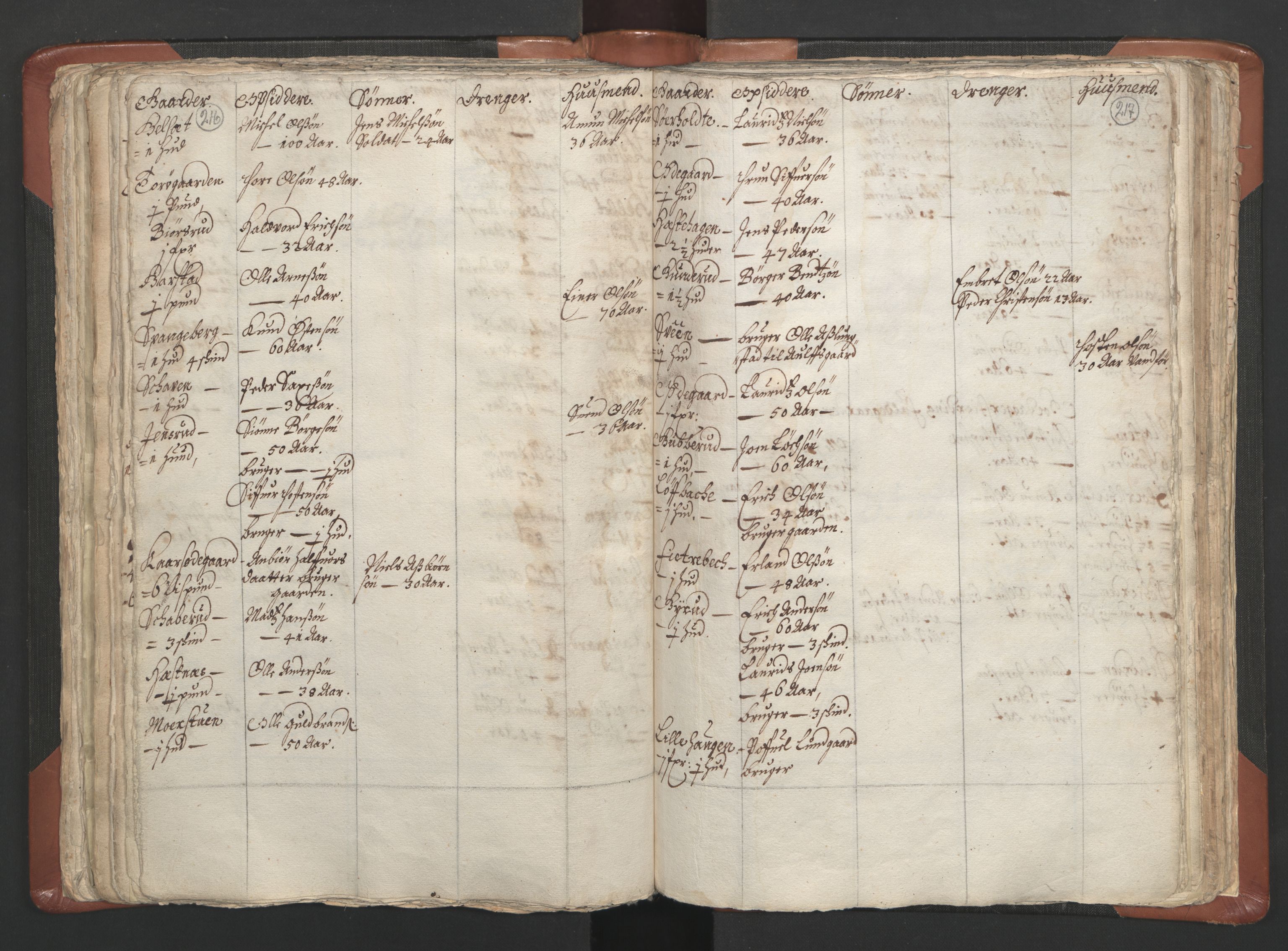 RA, Vicar's Census 1664-1666, no. 5: Hedmark deanery, 1664-1666, p. 216-217