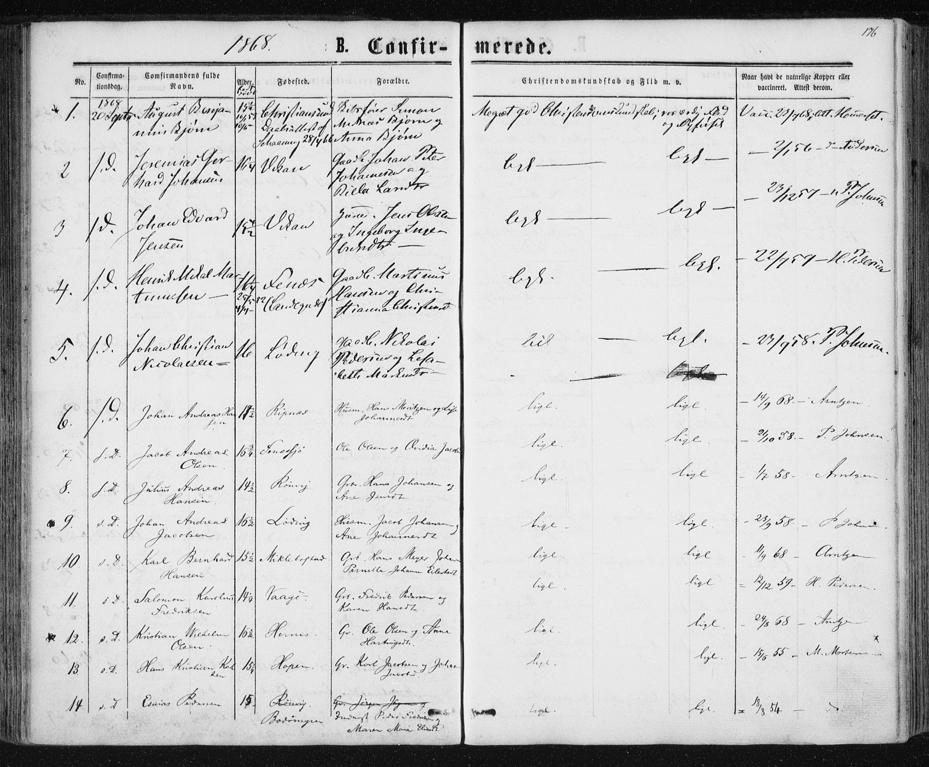 Ministerialprotokoller, klokkerbøker og fødselsregistre - Nordland, AV/SAT-A-1459/801/L0008: Parish register (official) no. 801A08, 1864-1875, p. 176