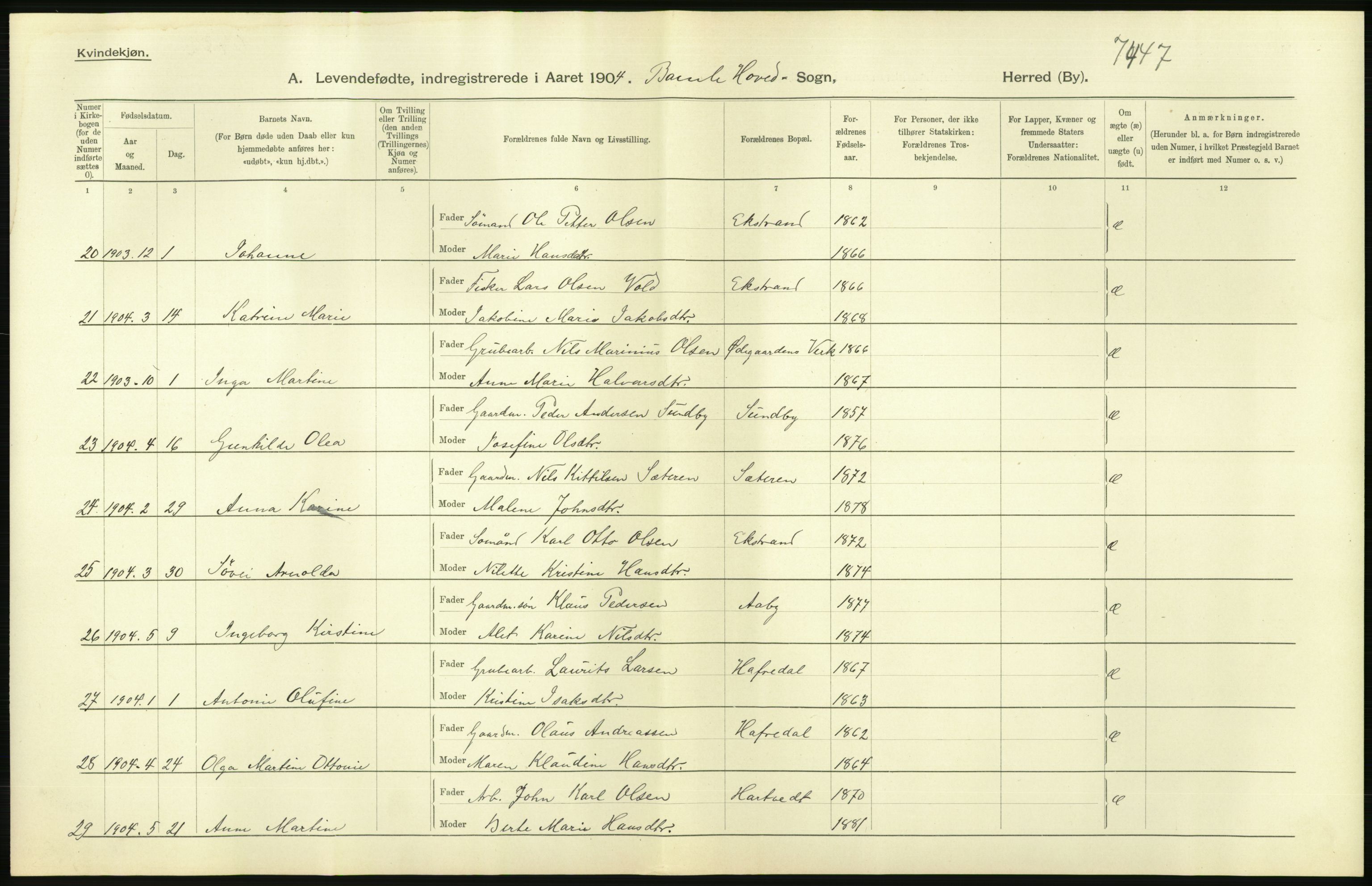 Statistisk sentralbyrå, Sosiodemografiske emner, Befolkning, AV/RA-S-2228/D/Df/Dfa/Dfab/L0009: Bratsberg amt: Fødte, gifte, døde, 1904, p. 48