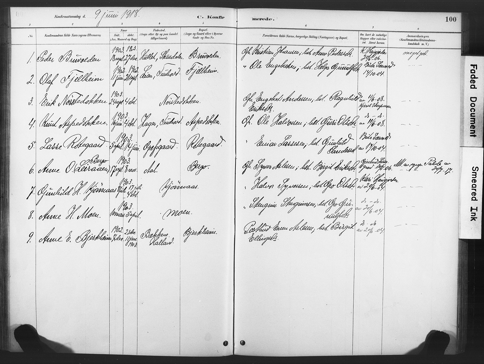 Nore kirkebøker, AV/SAKO-A-238/F/Fd/L0001: Parish register (official) no. IV 1, 1878-1918, p. 100