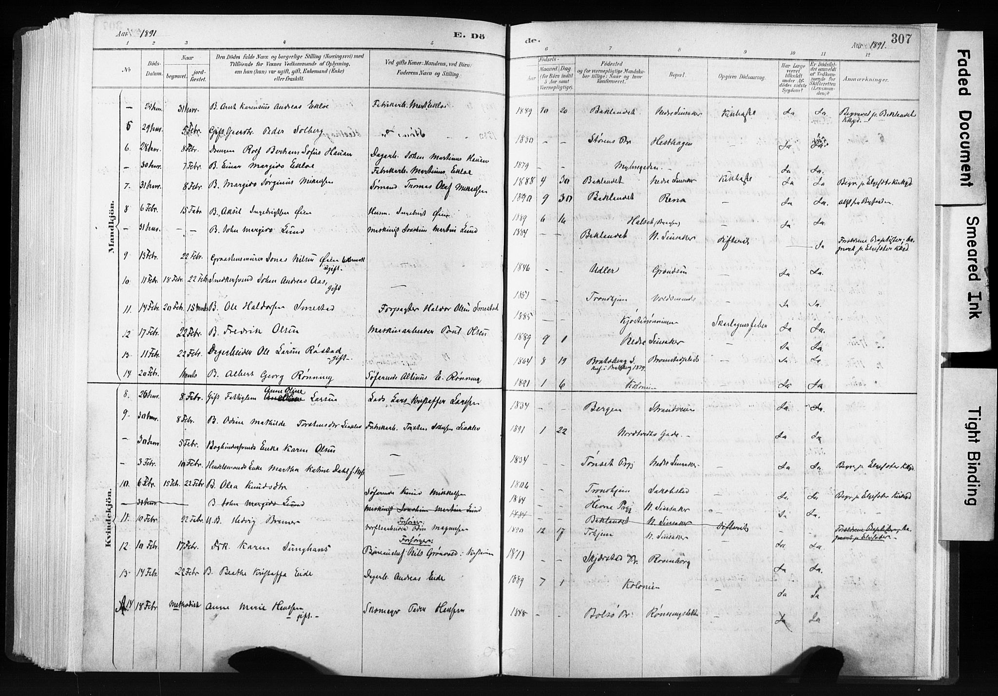 Ministerialprotokoller, klokkerbøker og fødselsregistre - Sør-Trøndelag, SAT/A-1456/606/L0300: Parish register (official) no. 606A15, 1886-1893, p. 307
