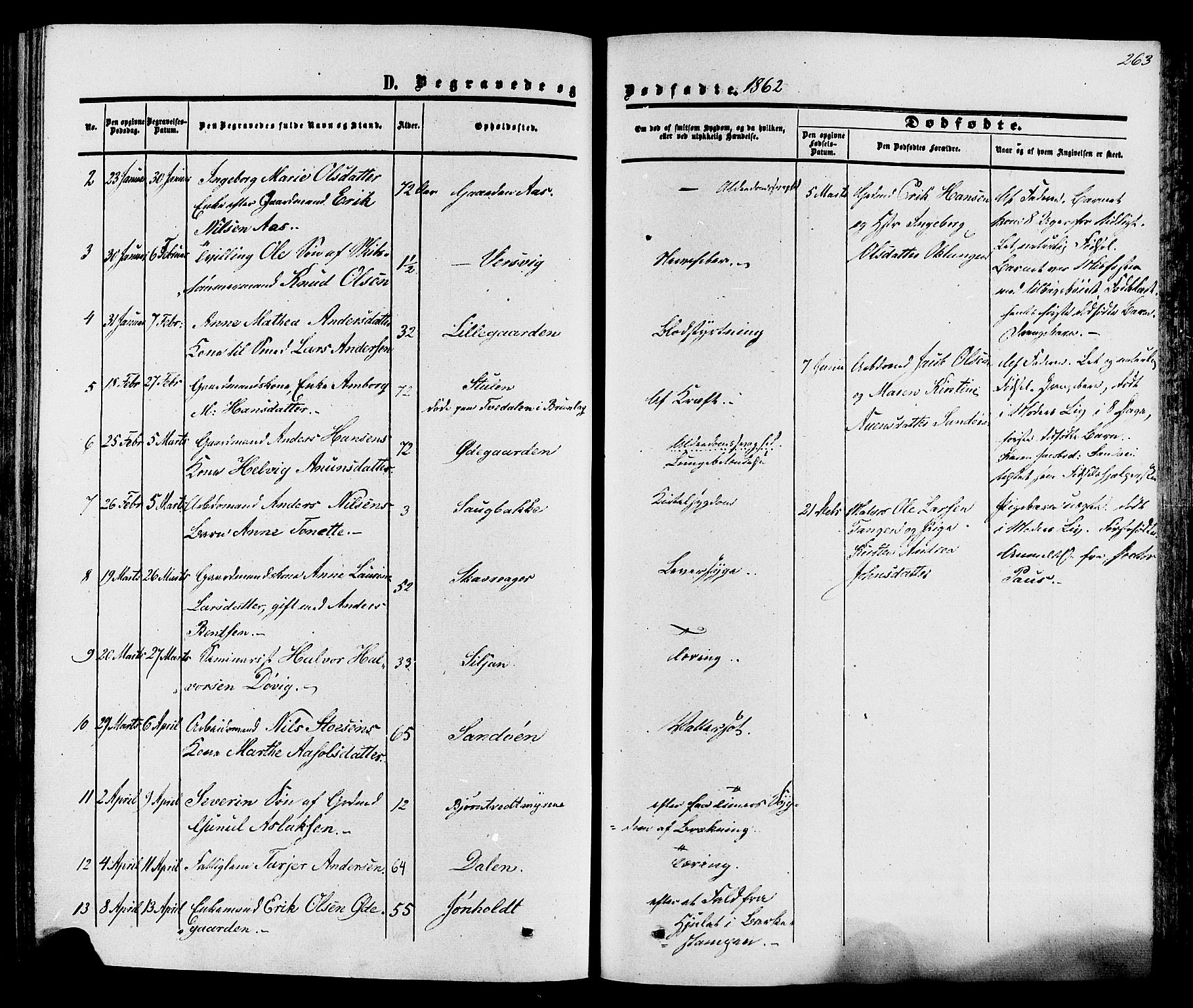 Eidanger kirkebøker, SAKO/A-261/F/Fa/L0010: Parish register (official) no. 10, 1859-1874, p. 263