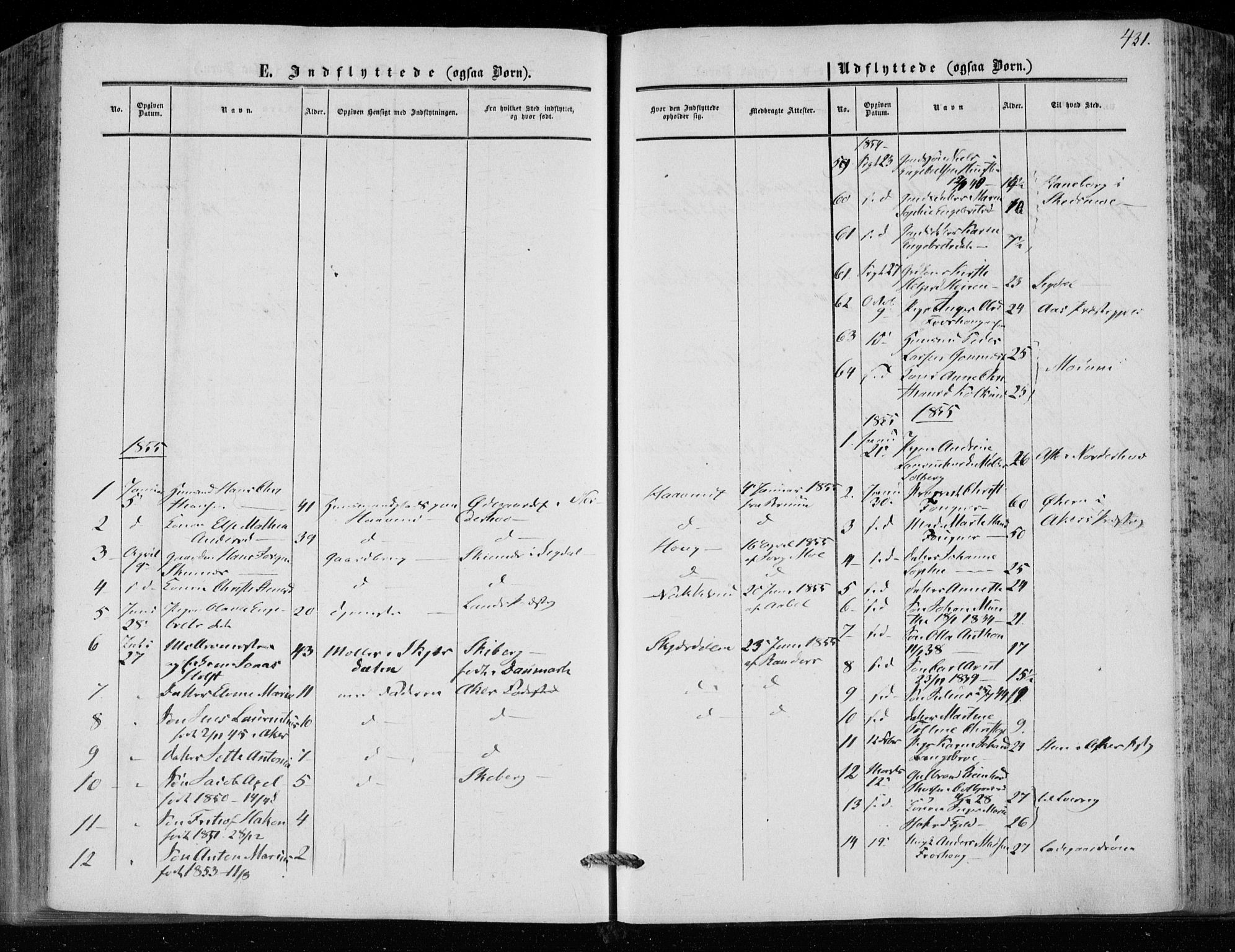 Hole kirkebøker, SAKO/A-228/F/Fa/L0006: Parish register (official) no. I 6, 1852-1872, p. 431