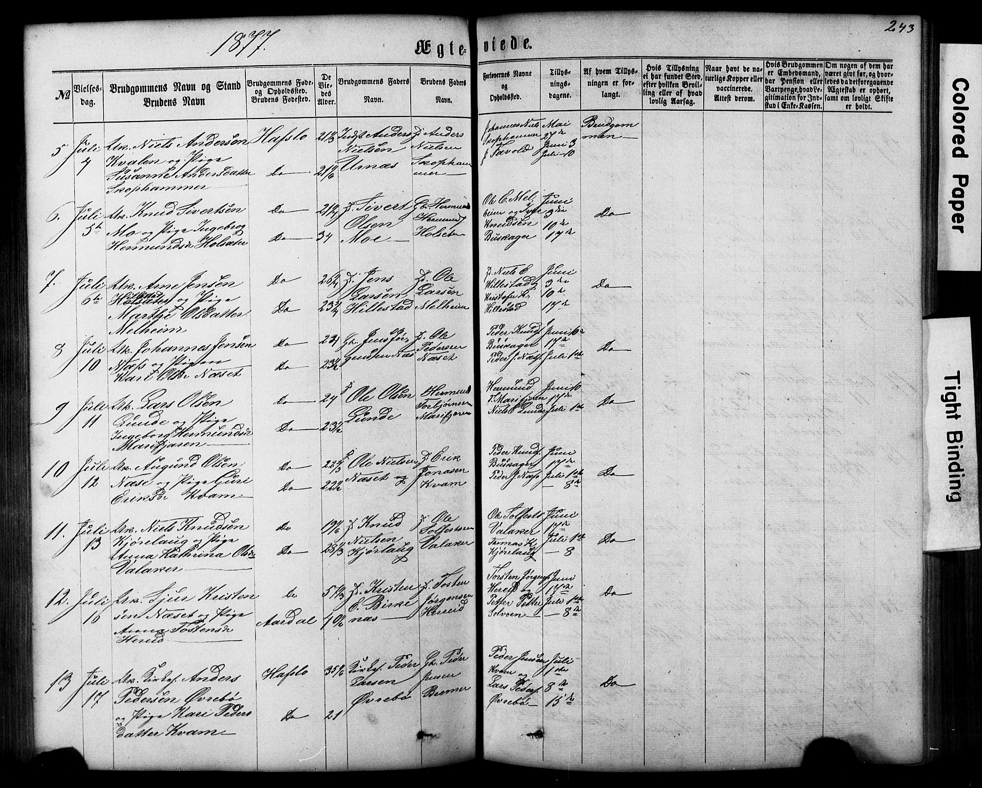 Hafslo sokneprestembete, AV/SAB-A-80301/H/Hab/Haba/L0001: Parish register (copy) no. A 1, 1866-1908, p. 243