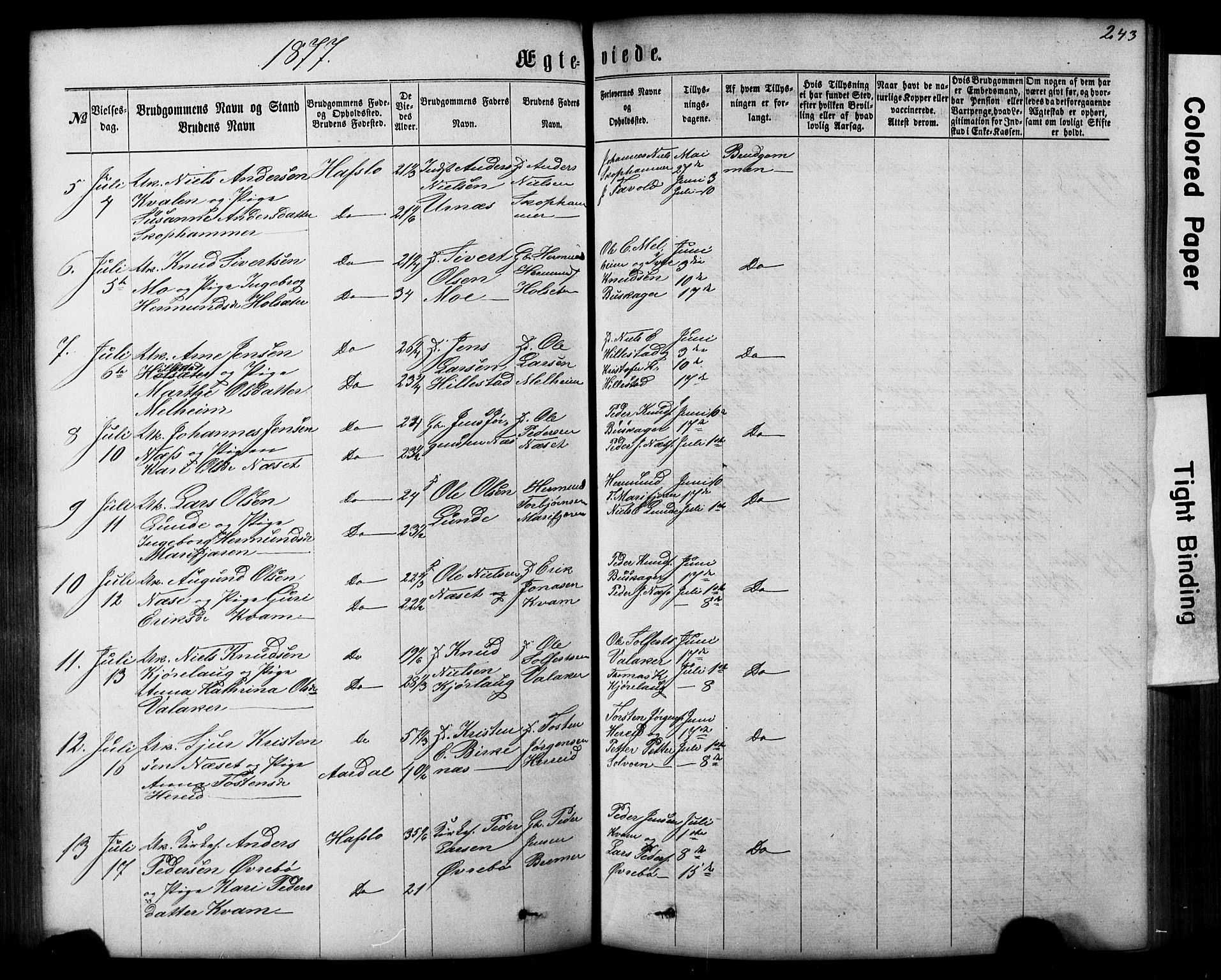 Hafslo sokneprestembete, SAB/A-80301/H/Hab/Haba/L0001: Parish register (copy) no. A 1, 1866-1908, p. 243