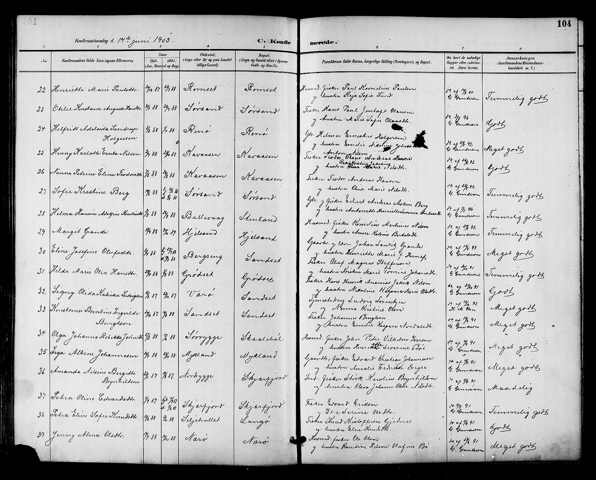 Ministerialprotokoller, klokkerbøker og fødselsregistre - Nordland, SAT/A-1459/893/L1338: Parish register (official) no. 893A10, 1894-1903, p. 104