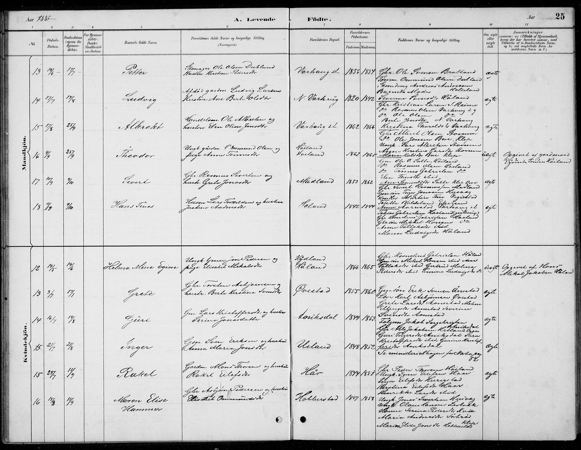 Hå sokneprestkontor, SAST/A-101801/001/30BB/L0004: Parish register (copy) no. B 4, 1883-1899, p. 25