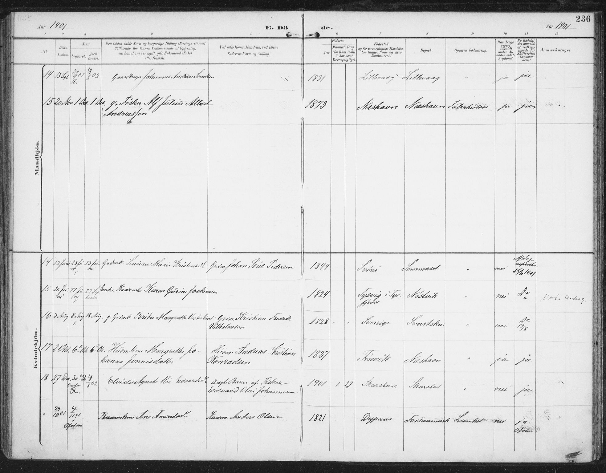 Ministerialprotokoller, klokkerbøker og fødselsregistre - Nordland, AV/SAT-A-1459/872/L1036: Parish register (official) no. 872A11, 1897-1913, p. 236