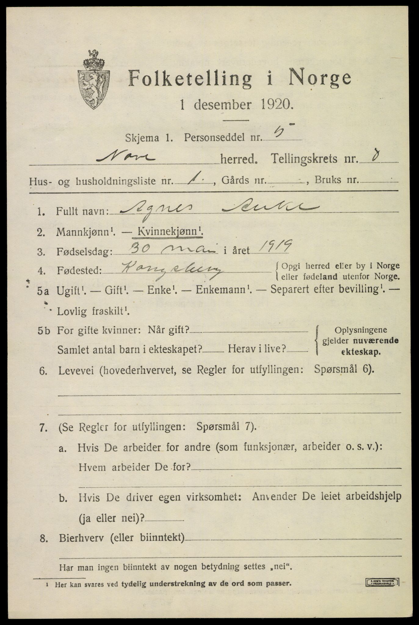 SAKO, 1920 census for Nore, 1920, p. 4006