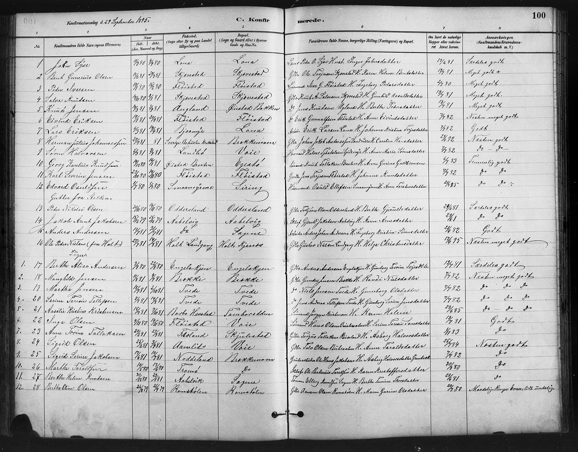 Austre Moland sokneprestkontor, SAK/1111-0001/F/Fb/Fba/L0003: Parish register (copy) no. B 3, 1879-1914, p. 100