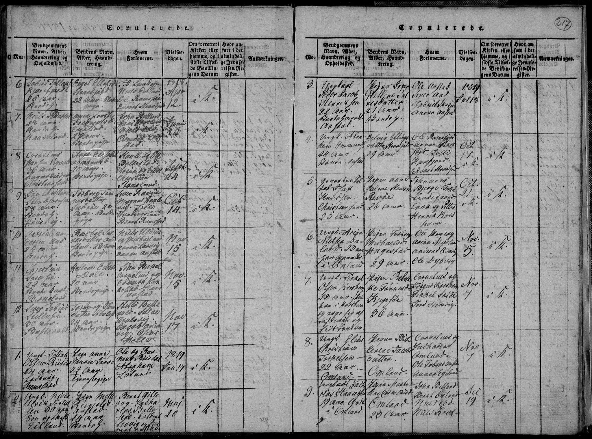 Lyngdal sokneprestkontor, AV/SAK-1111-0029/F/Fa/Fac/L0006: Parish register (official) no. A 6, 1815-1825, p. 217