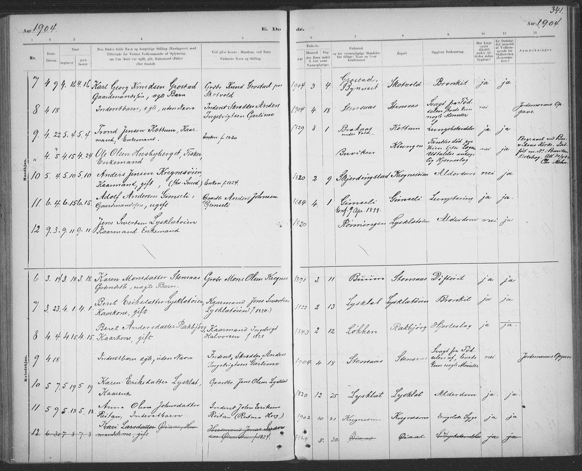 Ministerialprotokoller, klokkerbøker og fødselsregistre - Sør-Trøndelag, SAT/A-1456/691/L1085: Parish register (official) no. 691A17, 1887-1908, p. 341