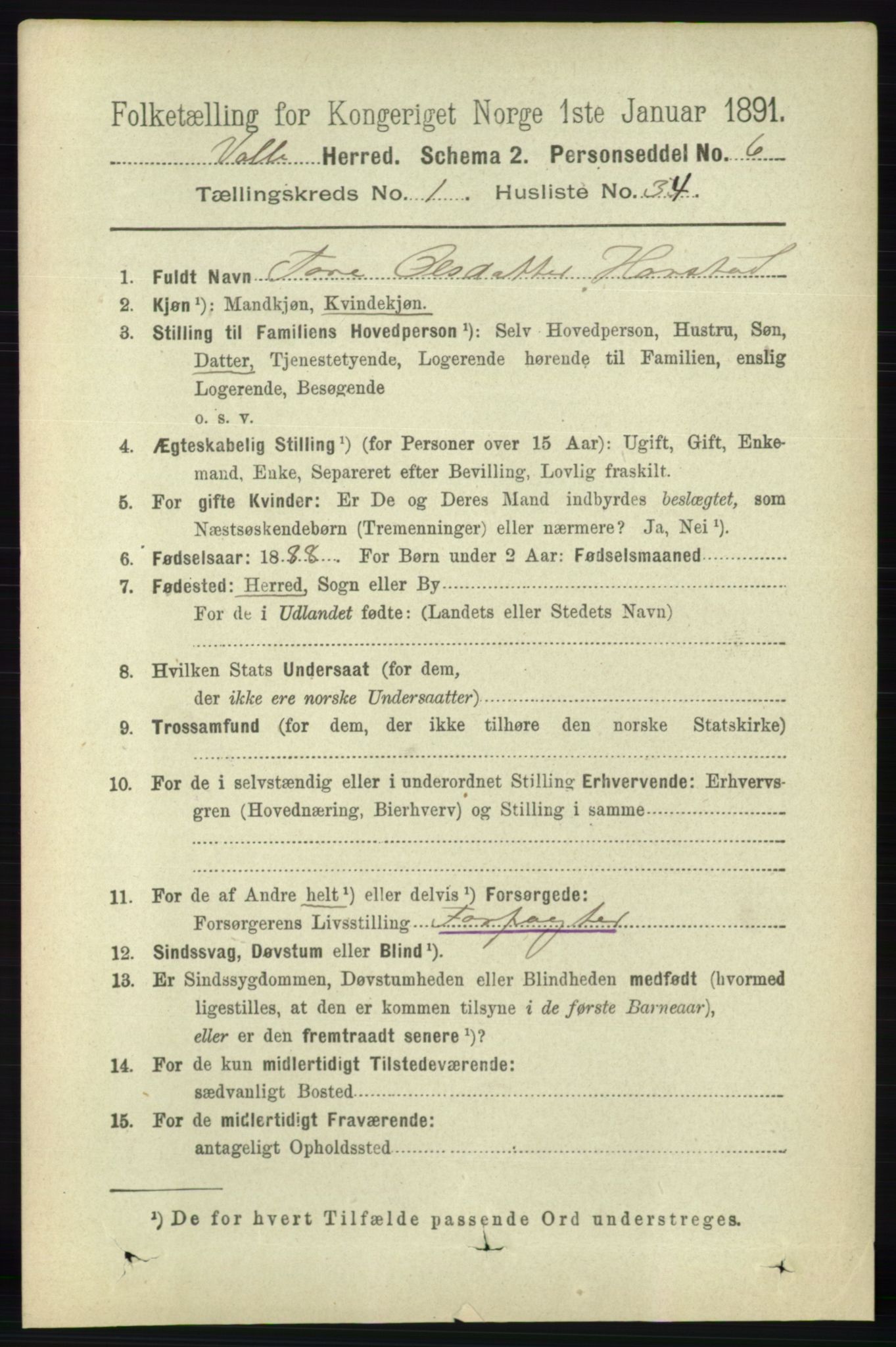 RA, 1891 census for 0940 Valle, 1891, p. 311