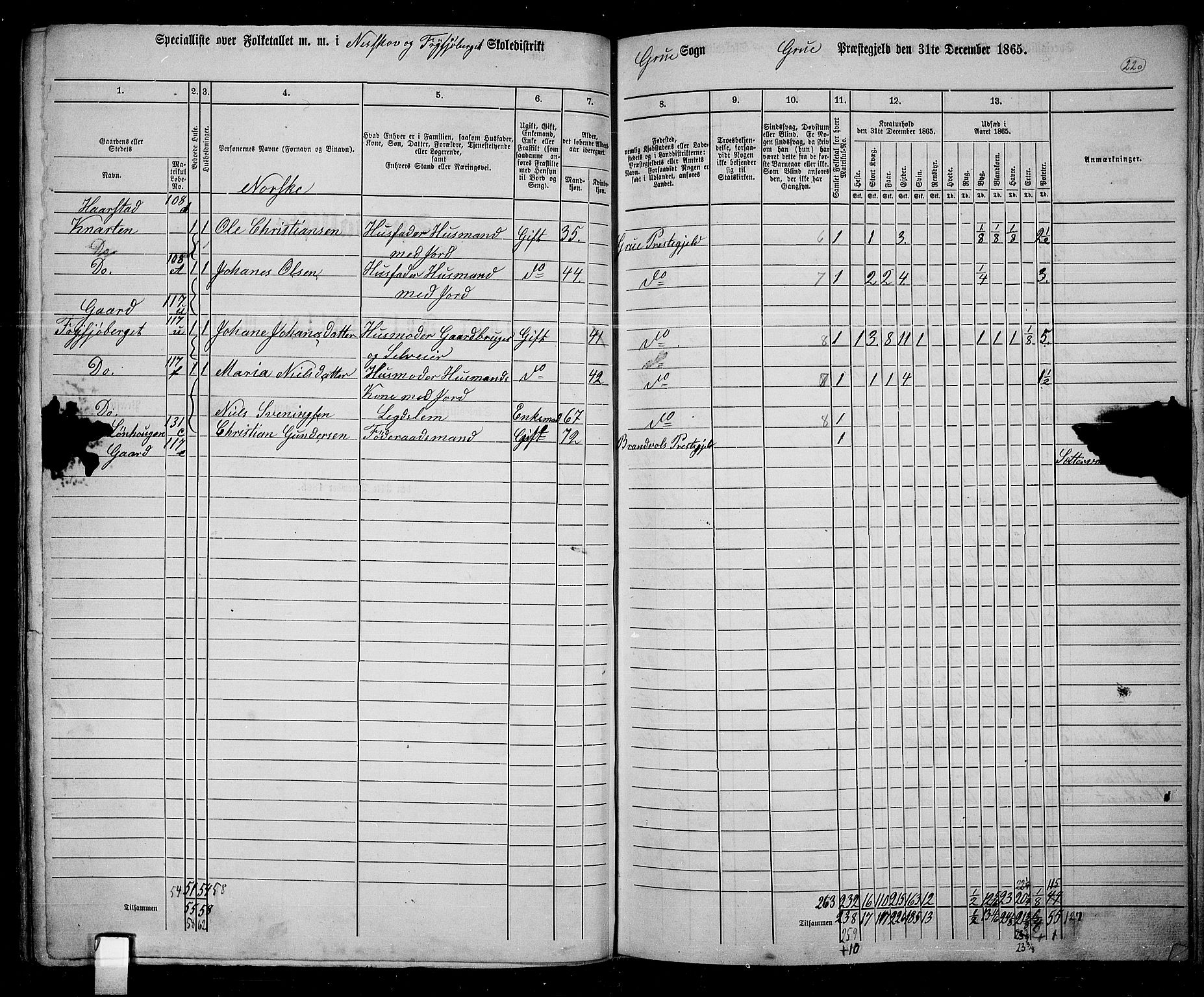 RA, 1865 census for Grue, 1865, p. 193