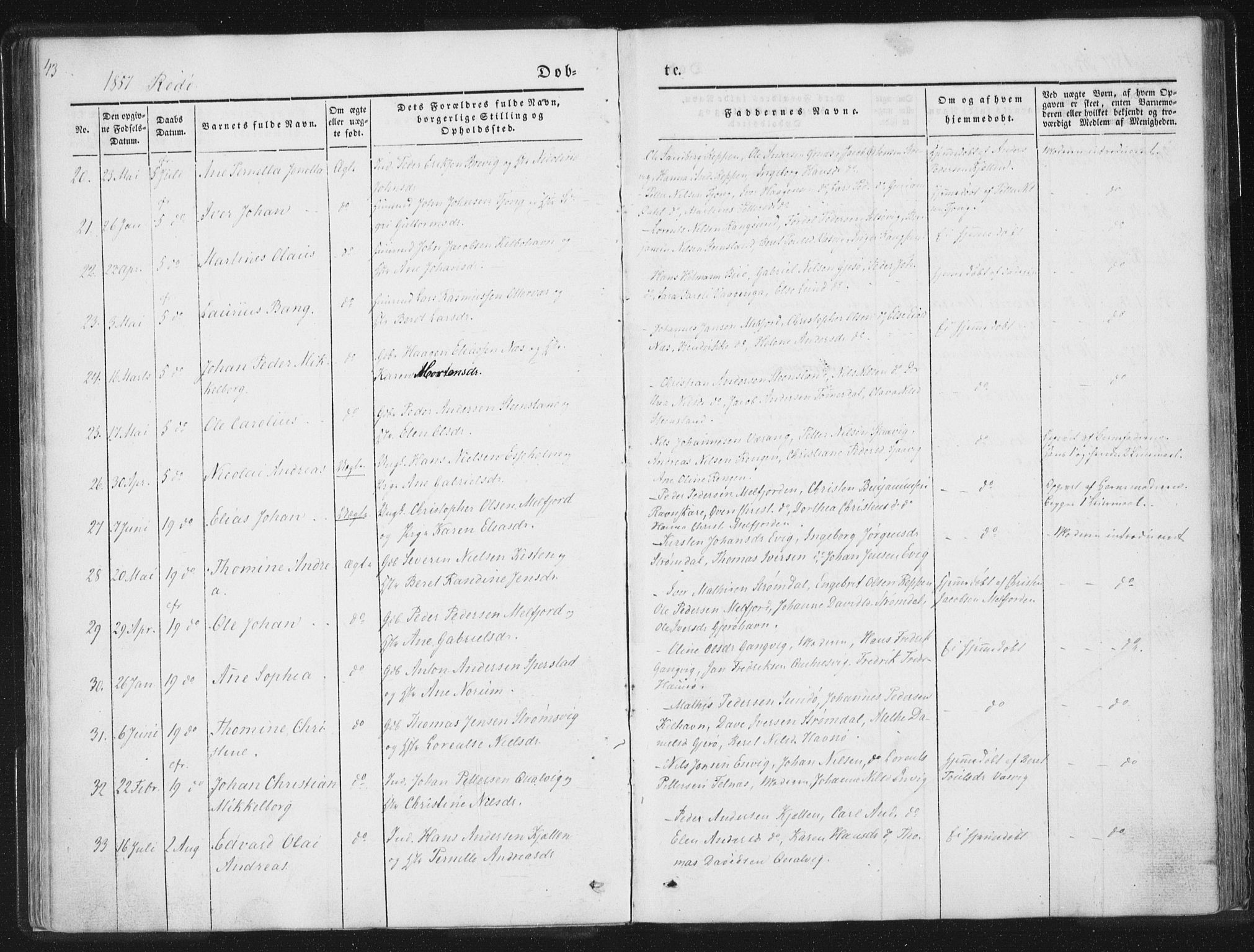 Ministerialprotokoller, klokkerbøker og fødselsregistre - Nordland, AV/SAT-A-1459/841/L0602: Parish register (official) no. 841A08 /1, 1845-1859, p. 43