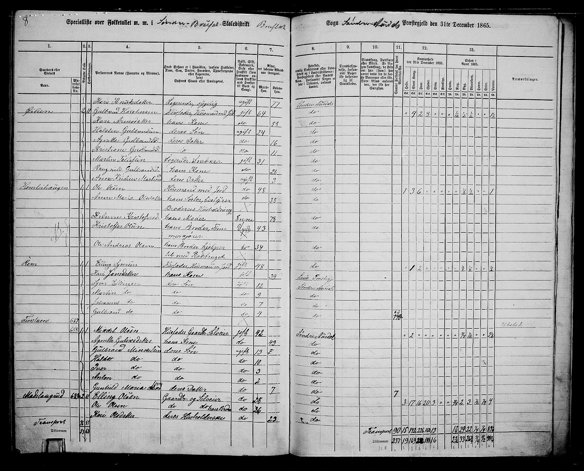 RA, 1865 census for Sør-Aurdal, 1865, p. 243