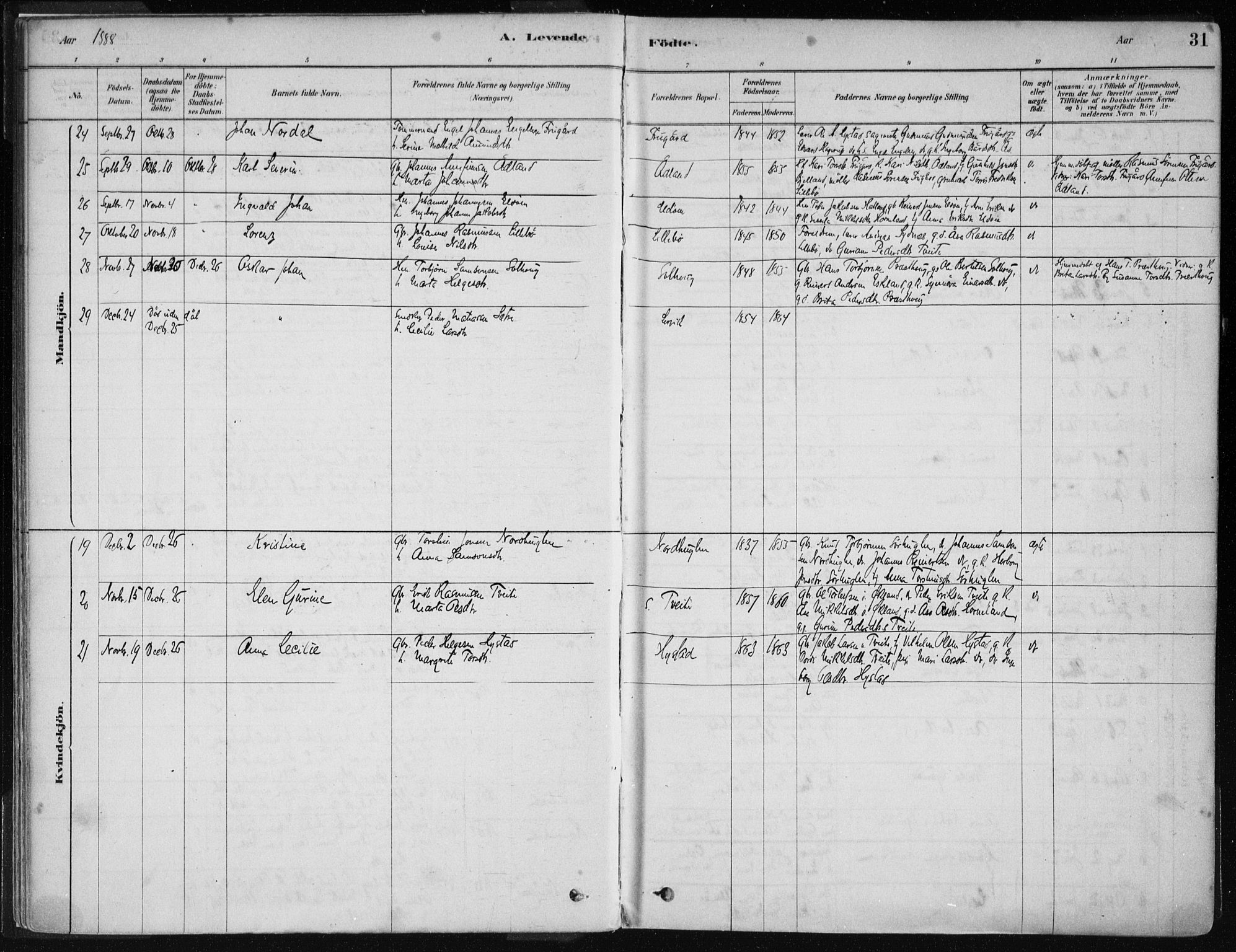 Stord sokneprestembete, SAB/A-78201/H/Haa: Parish register (official) no. B 2, 1878-1913, p. 31