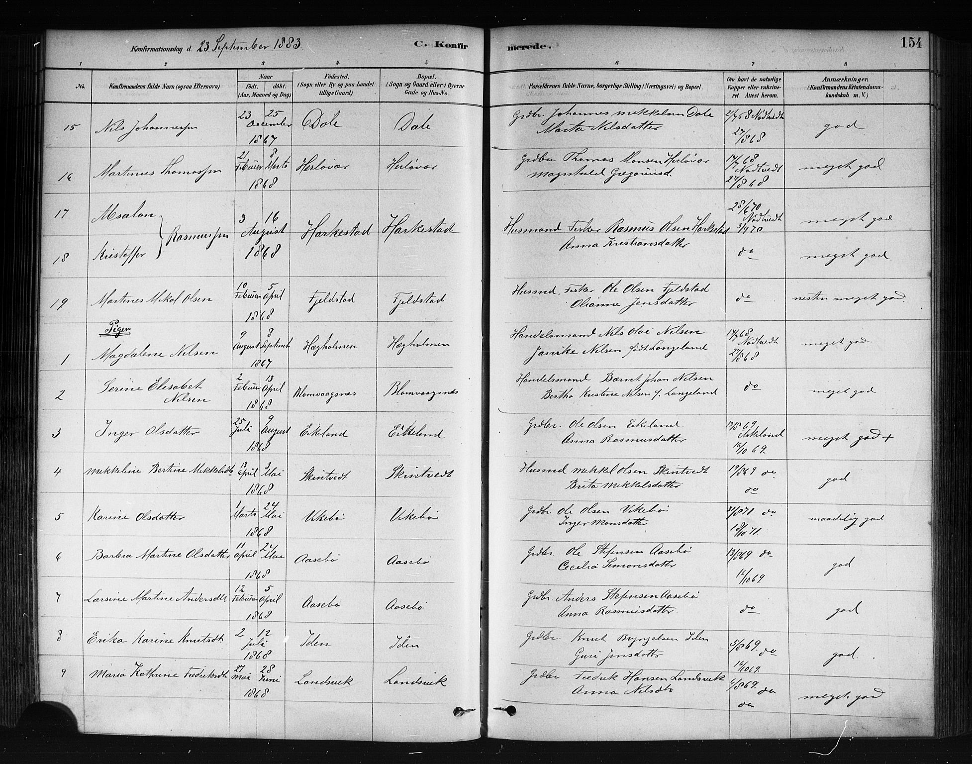 Herdla Sokneprestembete, AV/SAB-A-75701/H/Haa: Parish register (official) no. A 3, 1878-1890, p. 154