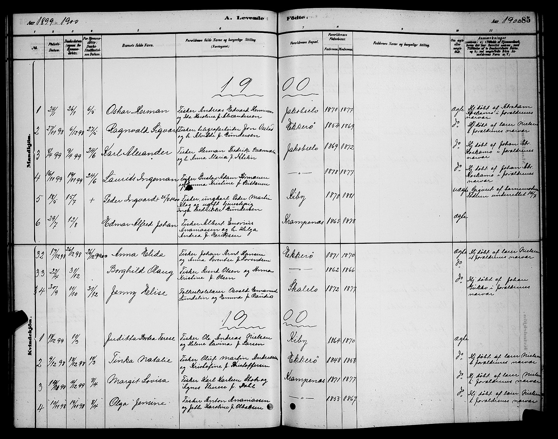 Vadsø sokneprestkontor, SATØ/S-1325/H/Hb/L0003klokker: Parish register (copy) no. 3, 1881-1901, p. 85