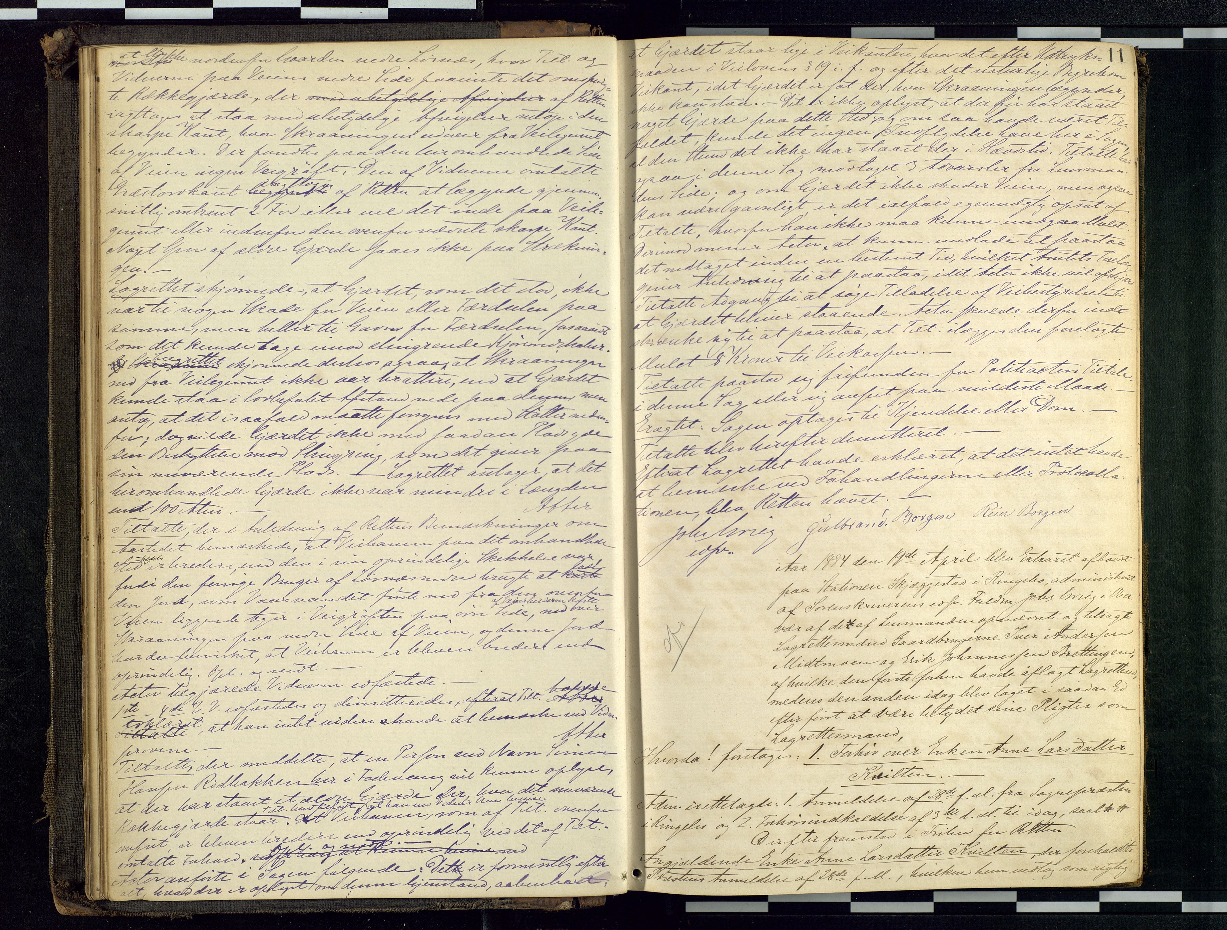 Mellom-Gudbrandsdal sorenskriveri, AV/SAH-TING-038/G/Gc/Gca/L0017: Ekstrarettsprotokoll, 1884-1894, p. 11