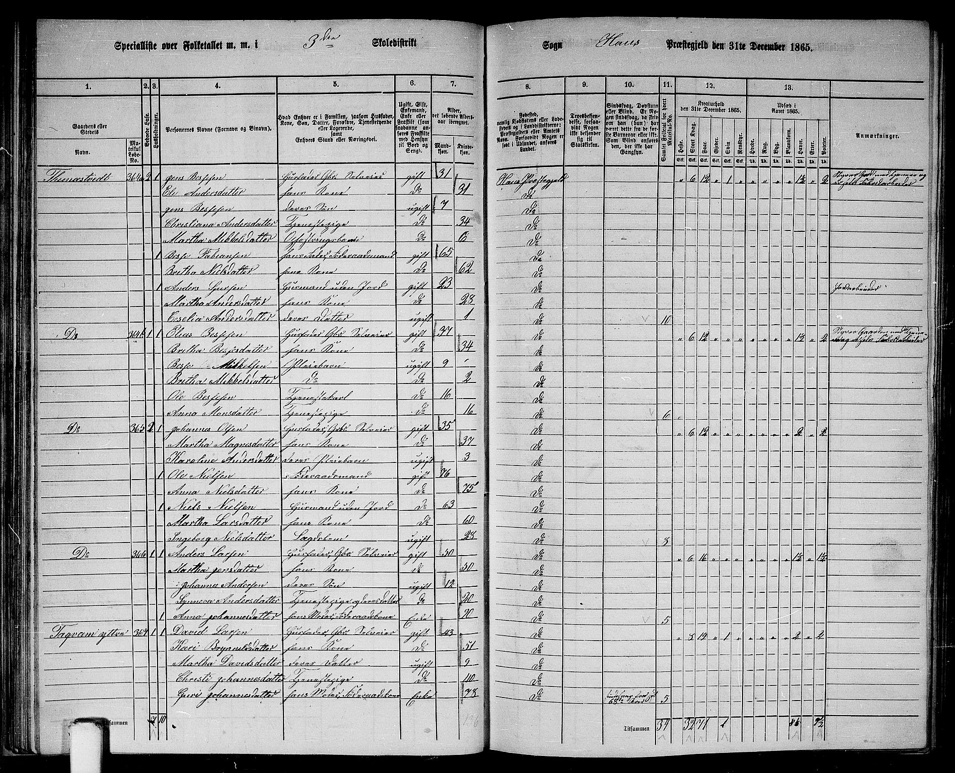 RA, 1865 census for Haus, 1865, p. 61