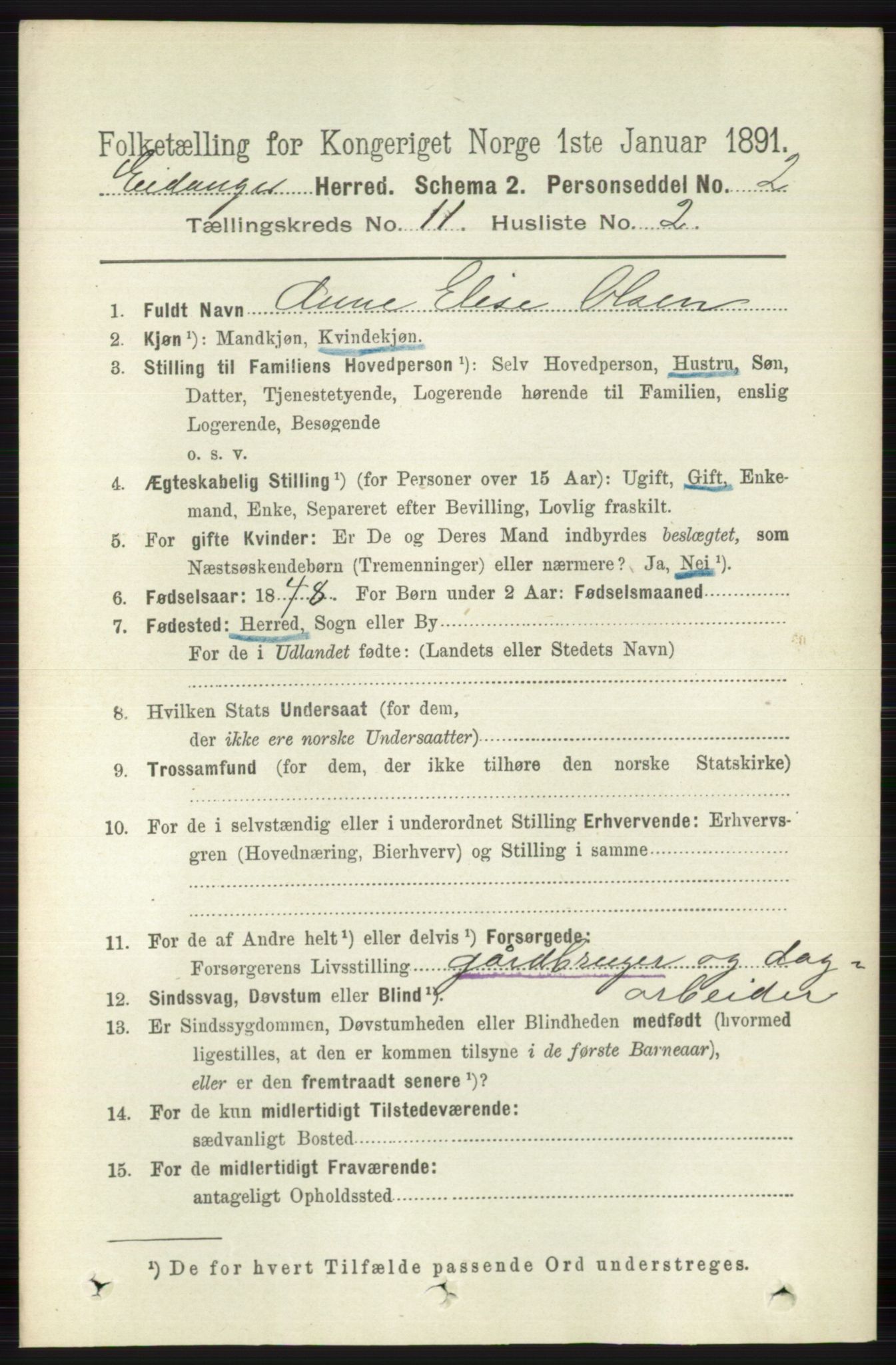 RA, 1891 census for 0813 Eidanger, 1891, p. 4245