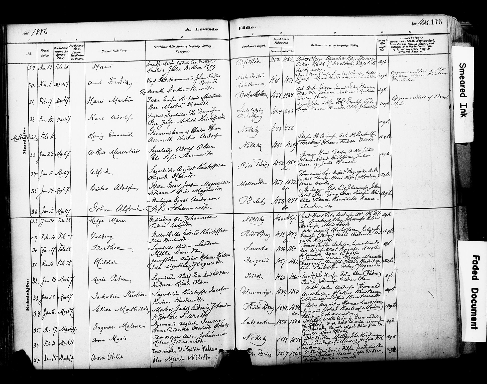 Glemmen prestekontor Kirkebøker, AV/SAO-A-10908/F/Fa/L0011: Parish register (official) no. 11, 1878-1917, p. 175