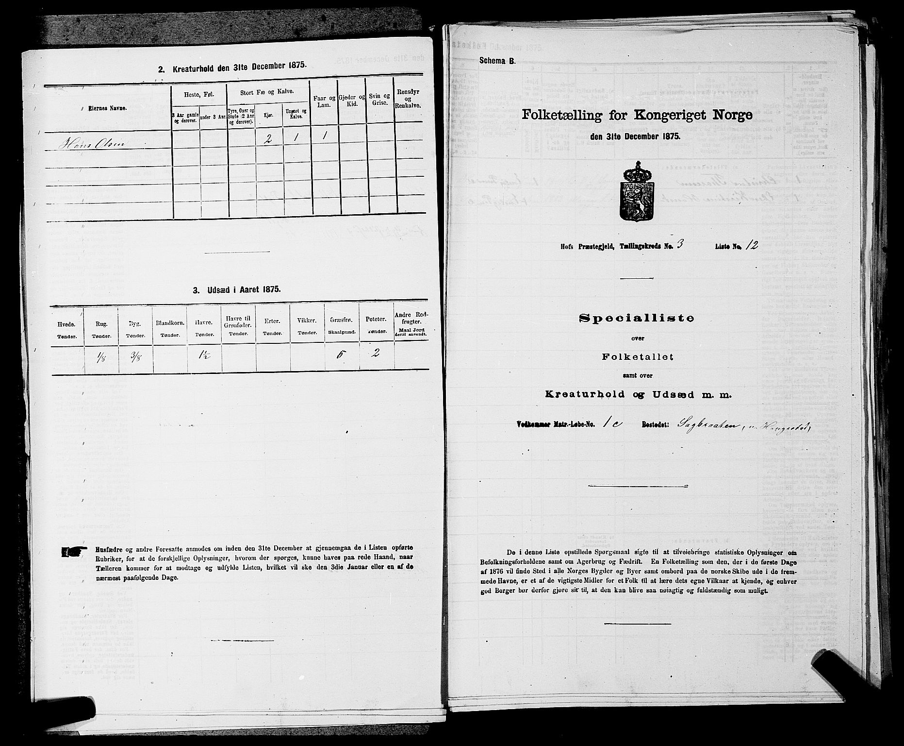 SAKO, 1875 census for 0714P Hof, 1875, p. 271