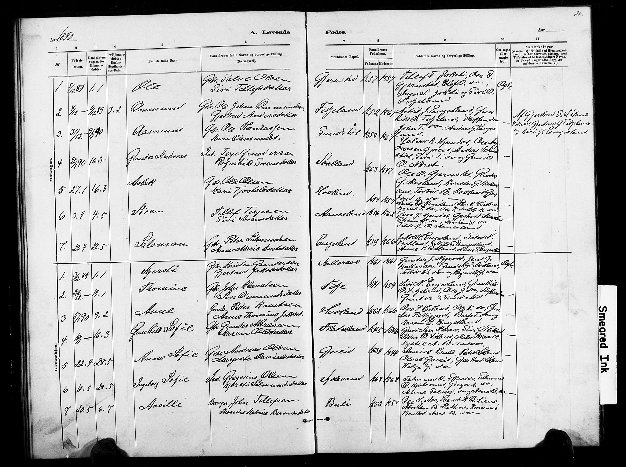 Herefoss sokneprestkontor, SAK/1111-0019/F/Fb/Fbb/L0002: Parish register (copy) no. B 2, 1879-1894, p. 30