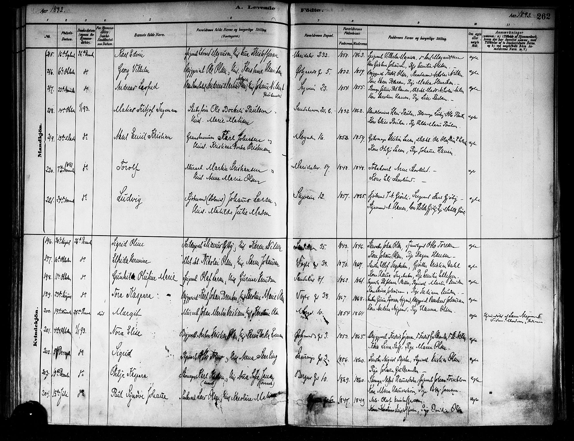 Sagene prestekontor Kirkebøker, AV/SAO-A-10796/F/L0001: Parish register (official) no. 1, 1880-1893, p. 262