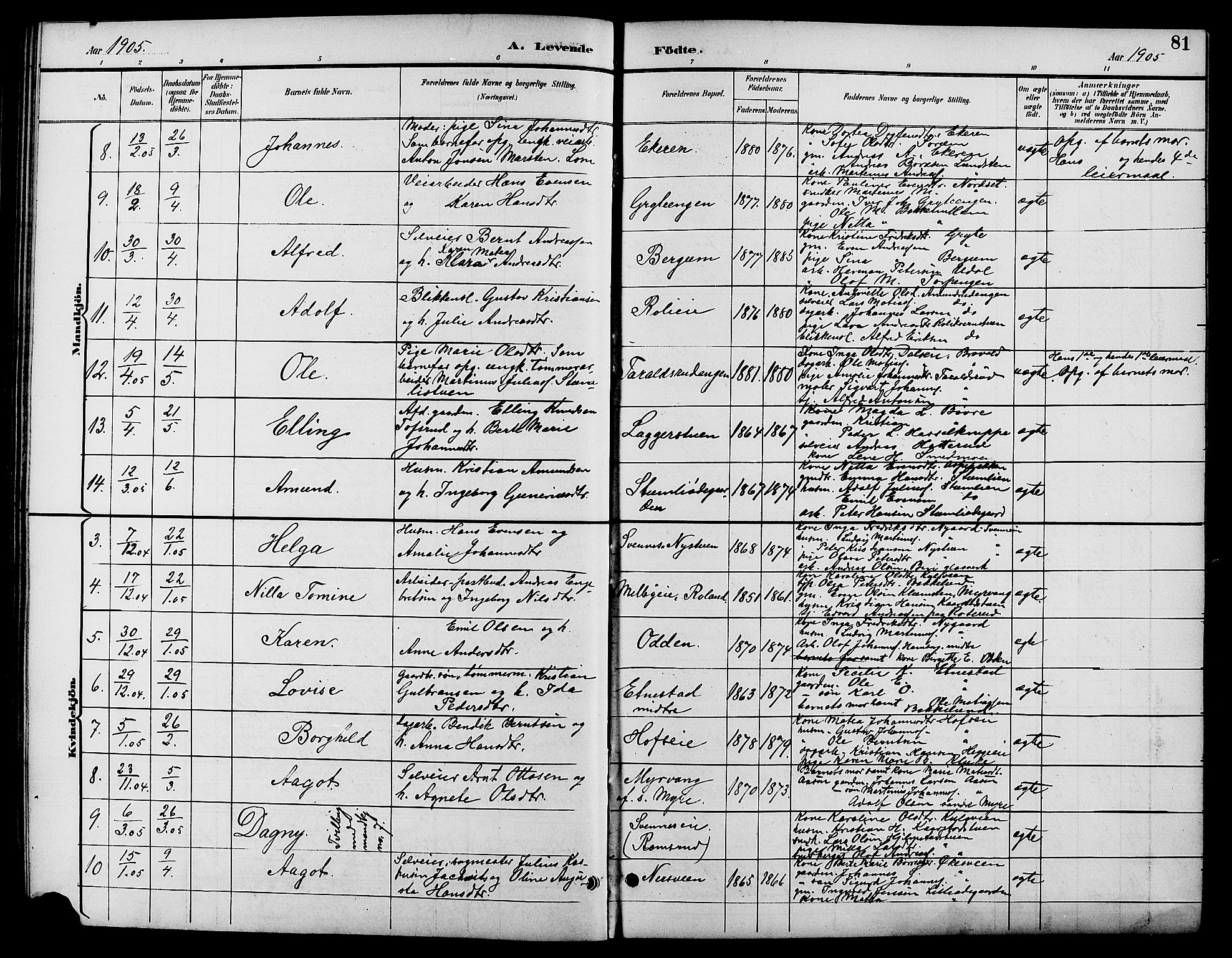 Biri prestekontor, SAH/PREST-096/H/Ha/Hab/L0004: Parish register (copy) no. 4, 1892-1909, p. 81