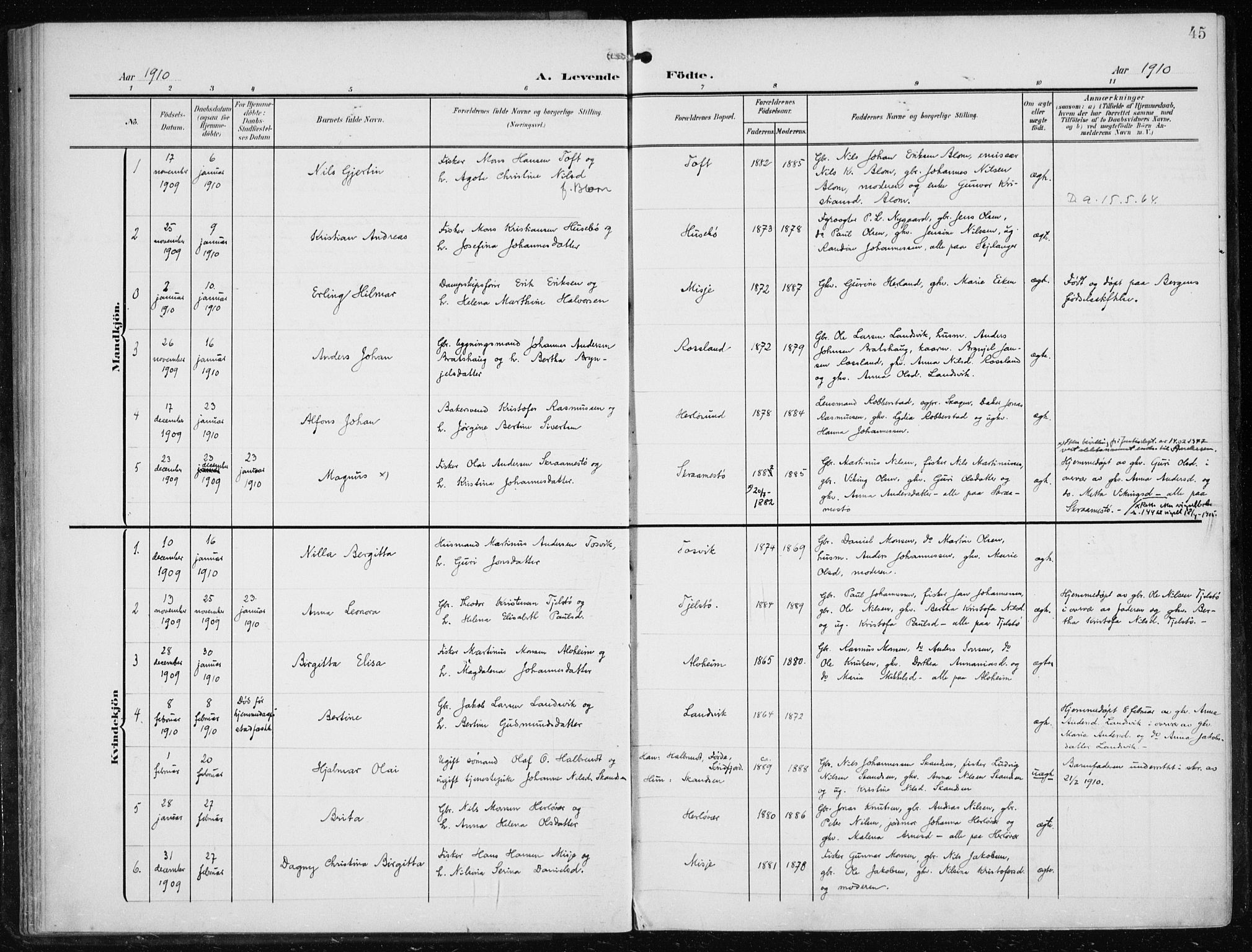 Herdla Sokneprestembete, SAB/A-75701/H/Haa: Parish register (official) no. A 5, 1905-1918, p. 45