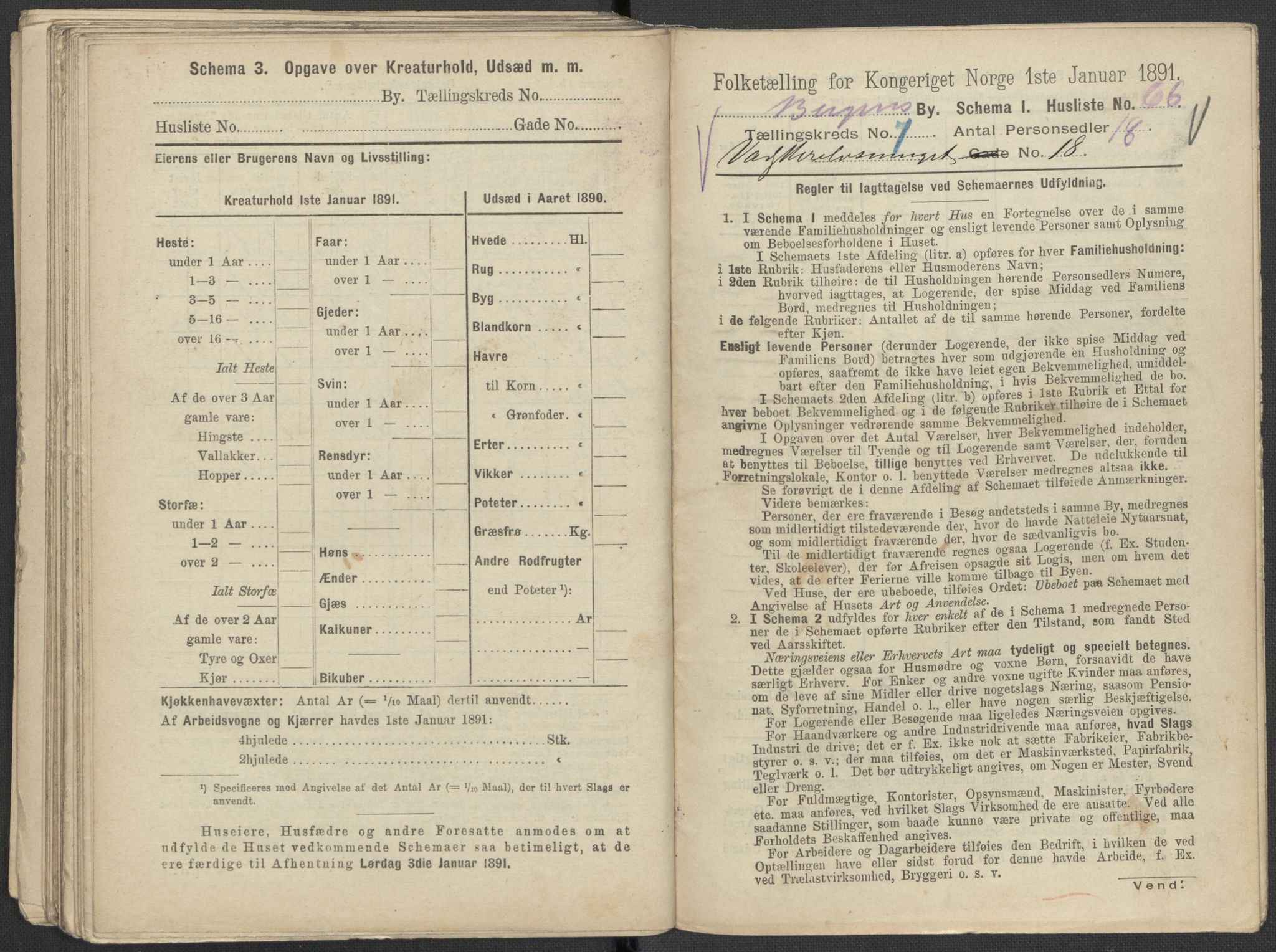 RA, 1891 Census for 1301 Bergen, 1891, p. 1334