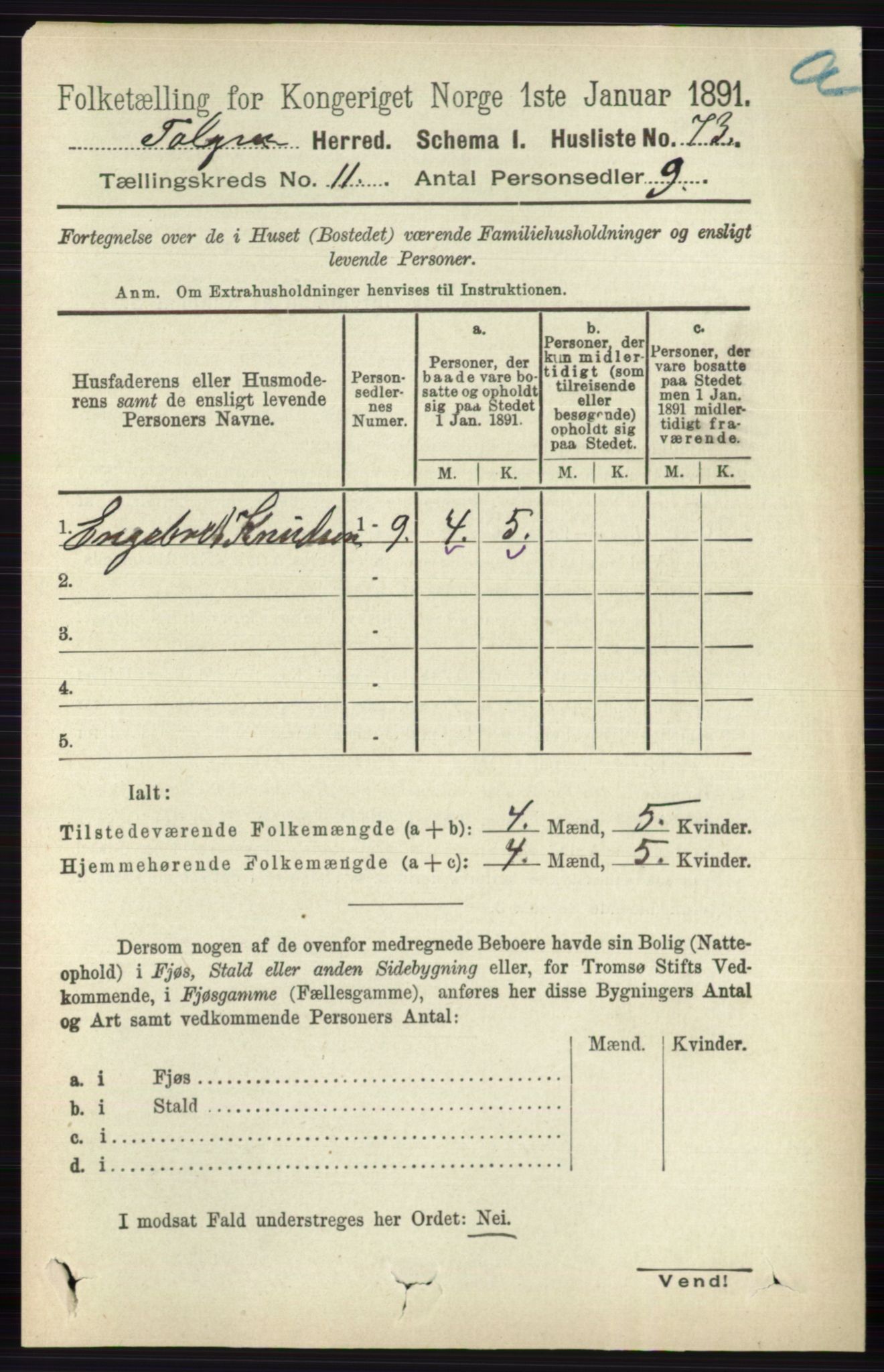 RA, 1891 census for 0436 Tolga, 1891, p. 3217