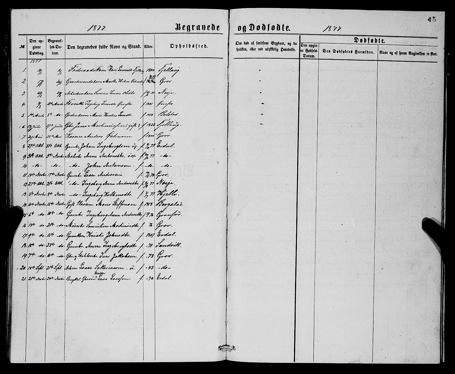 Stryn Sokneprestembete, AV/SAB-A-82501: Parish register (copy) no. C 2, 1877-1881, p. 45