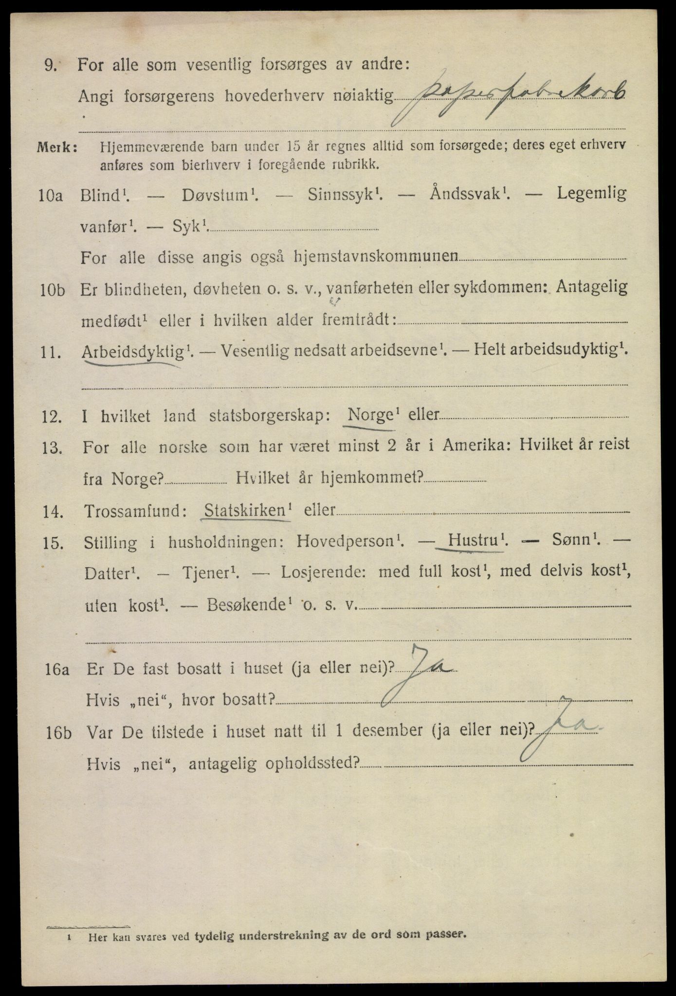 SAKO, 1920 census for Solum, 1920, p. 6529