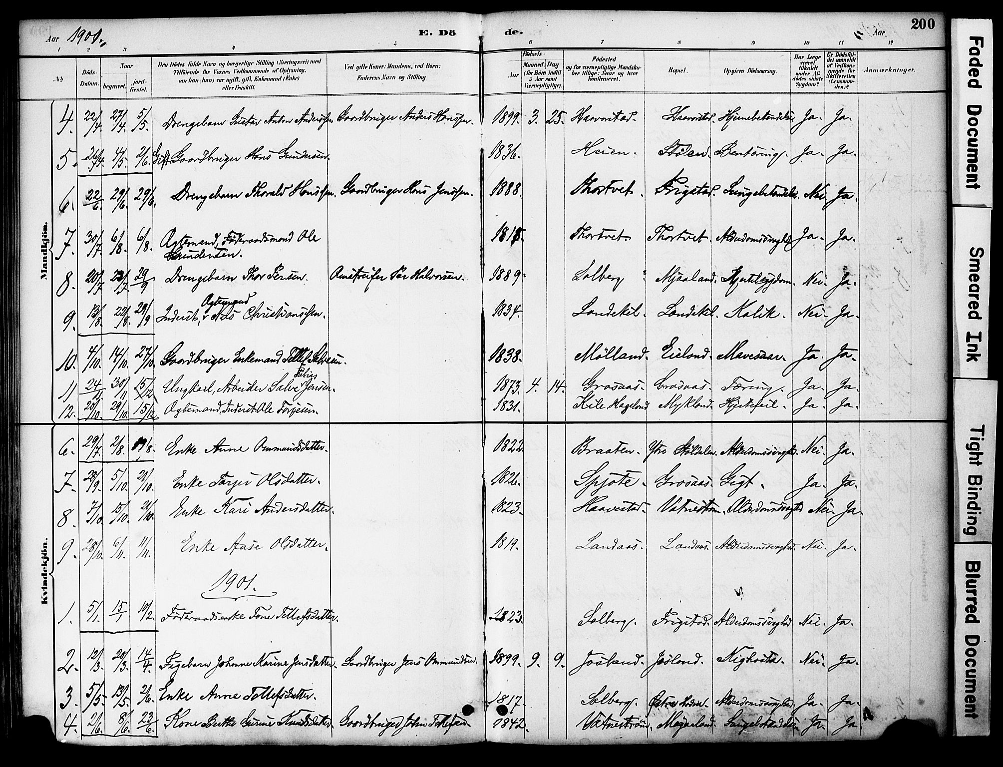 Evje sokneprestkontor, AV/SAK-1111-0008/F/Fa/Fac/L0003: Parish register (official) no. A 3, 1884-1909, p. 200