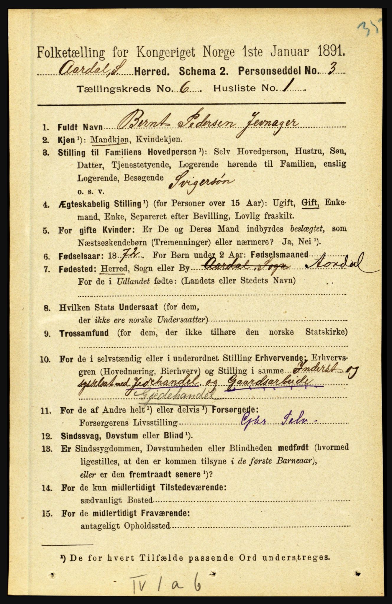 RA, 1891 census for 1424 Årdal, 1891, p. 1107