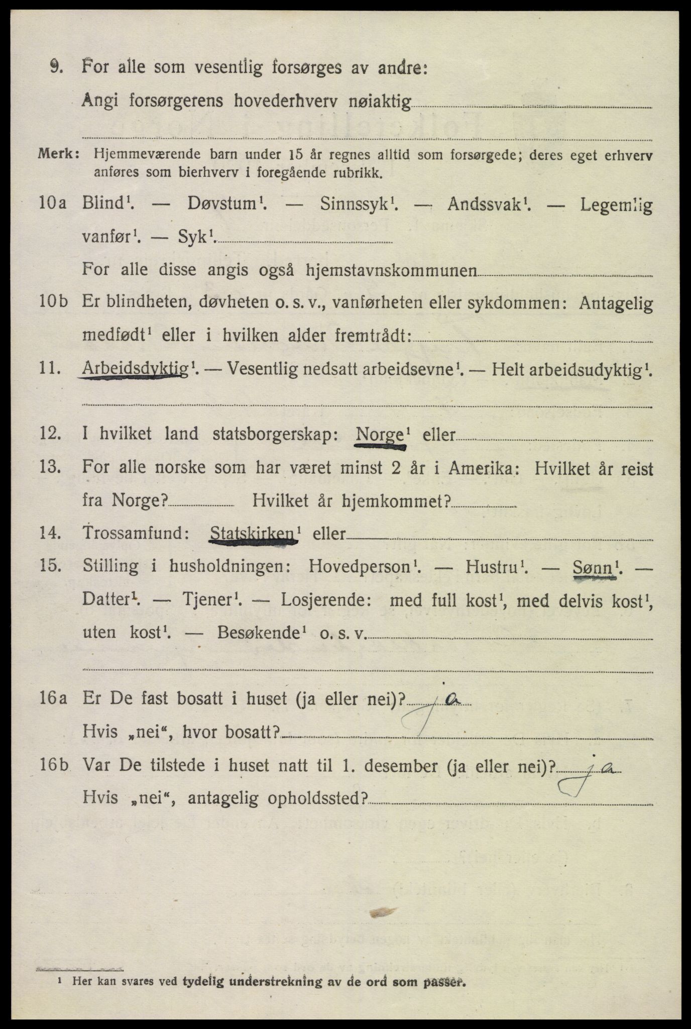 SAK, 1920 census for Iveland, 1920, p. 532