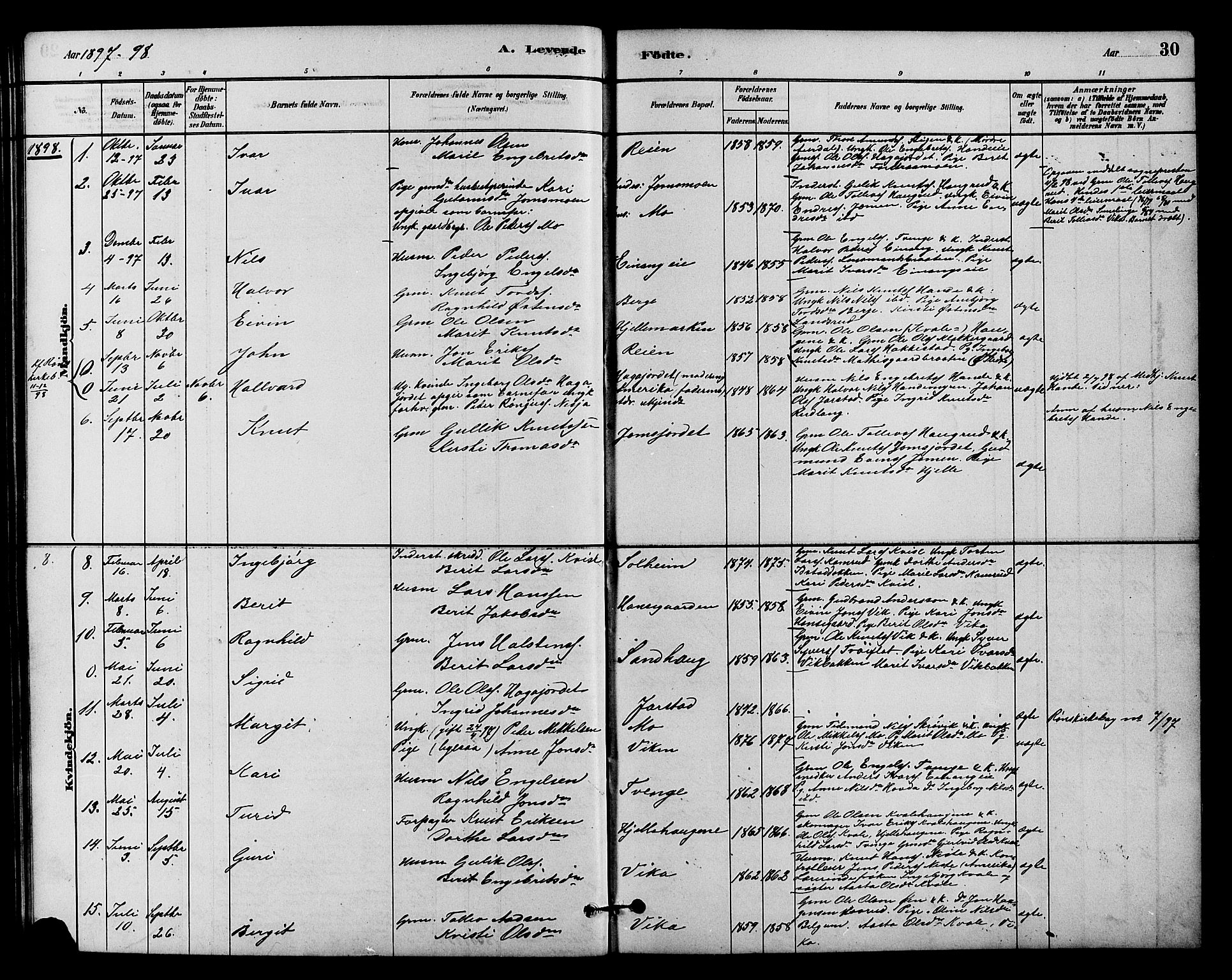 Vestre Slidre prestekontor, SAH/PREST-136/H/Ha/Hab/L0004: Parish register (copy) no. 4, 1881-1912, p. 30