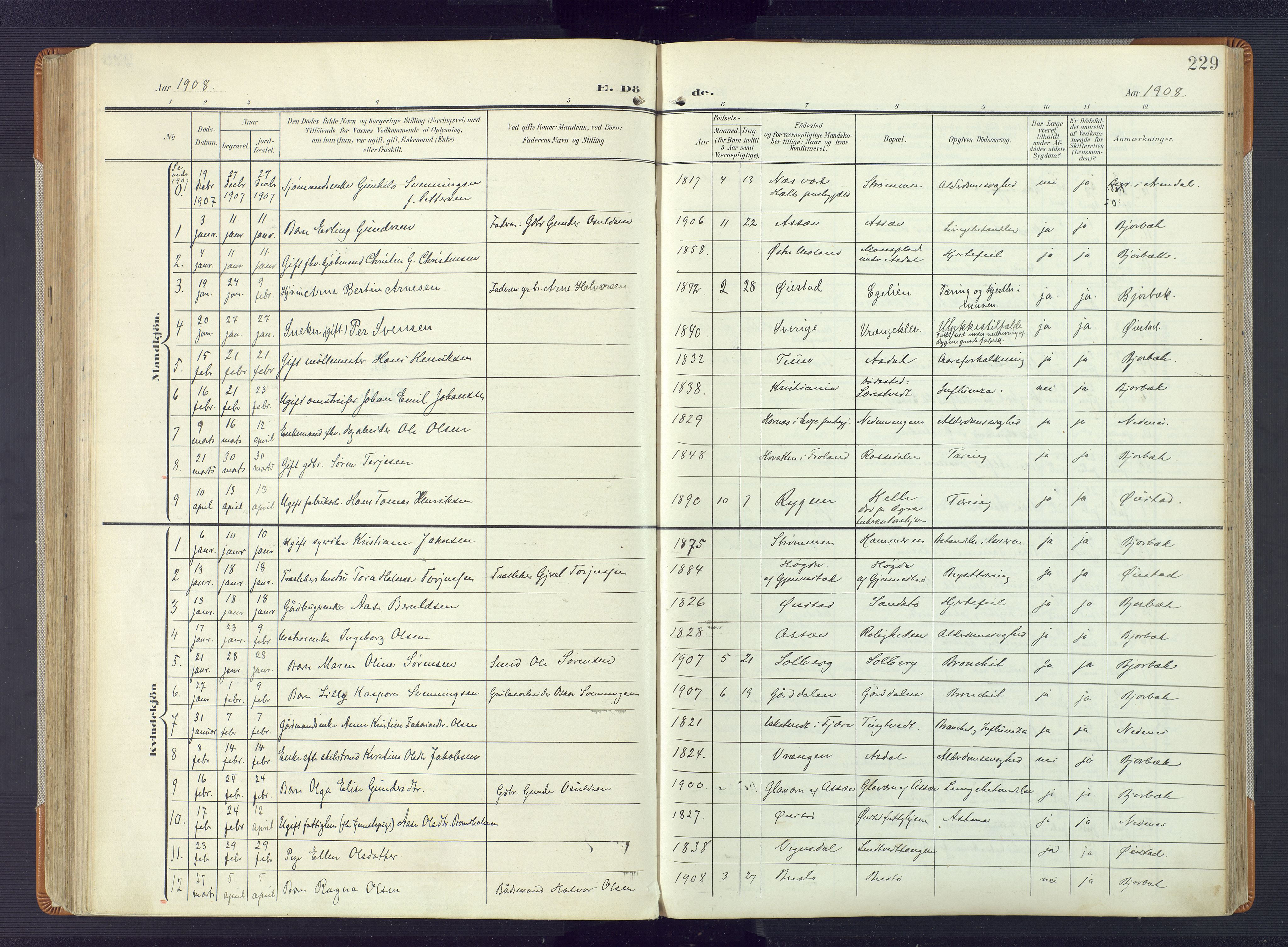 Øyestad sokneprestkontor, AV/SAK-1111-0049/F/Fa/L0019: Parish register (official) no. A 19, 1908-1922, p. 229