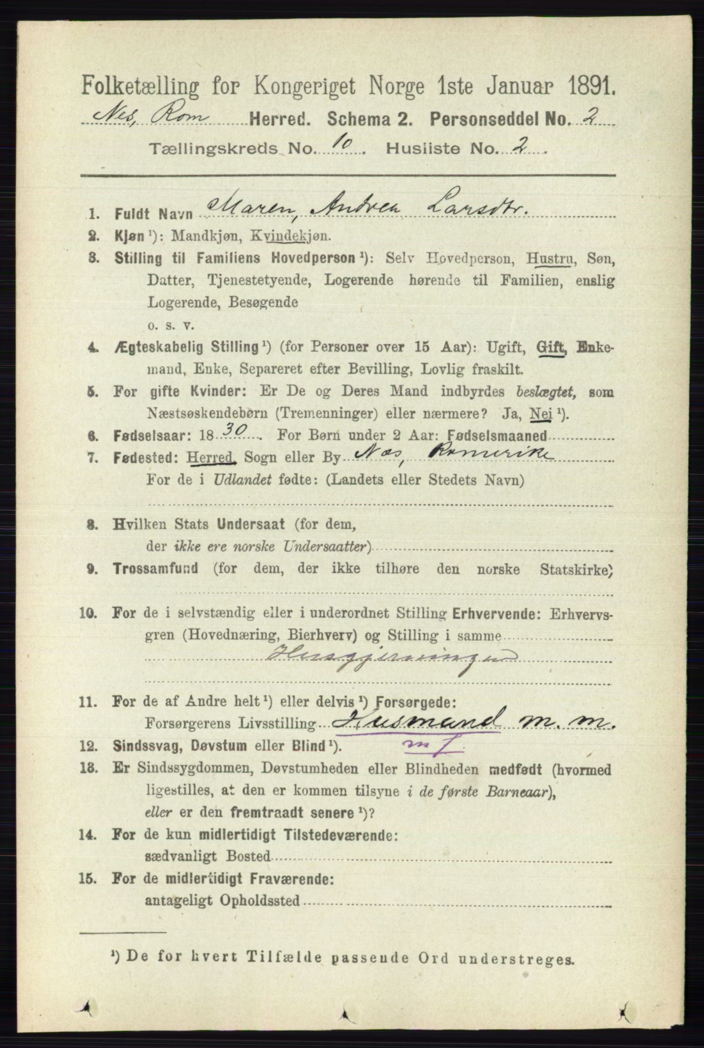 RA, 1891 census for 0236 Nes, 1891, p. 5811